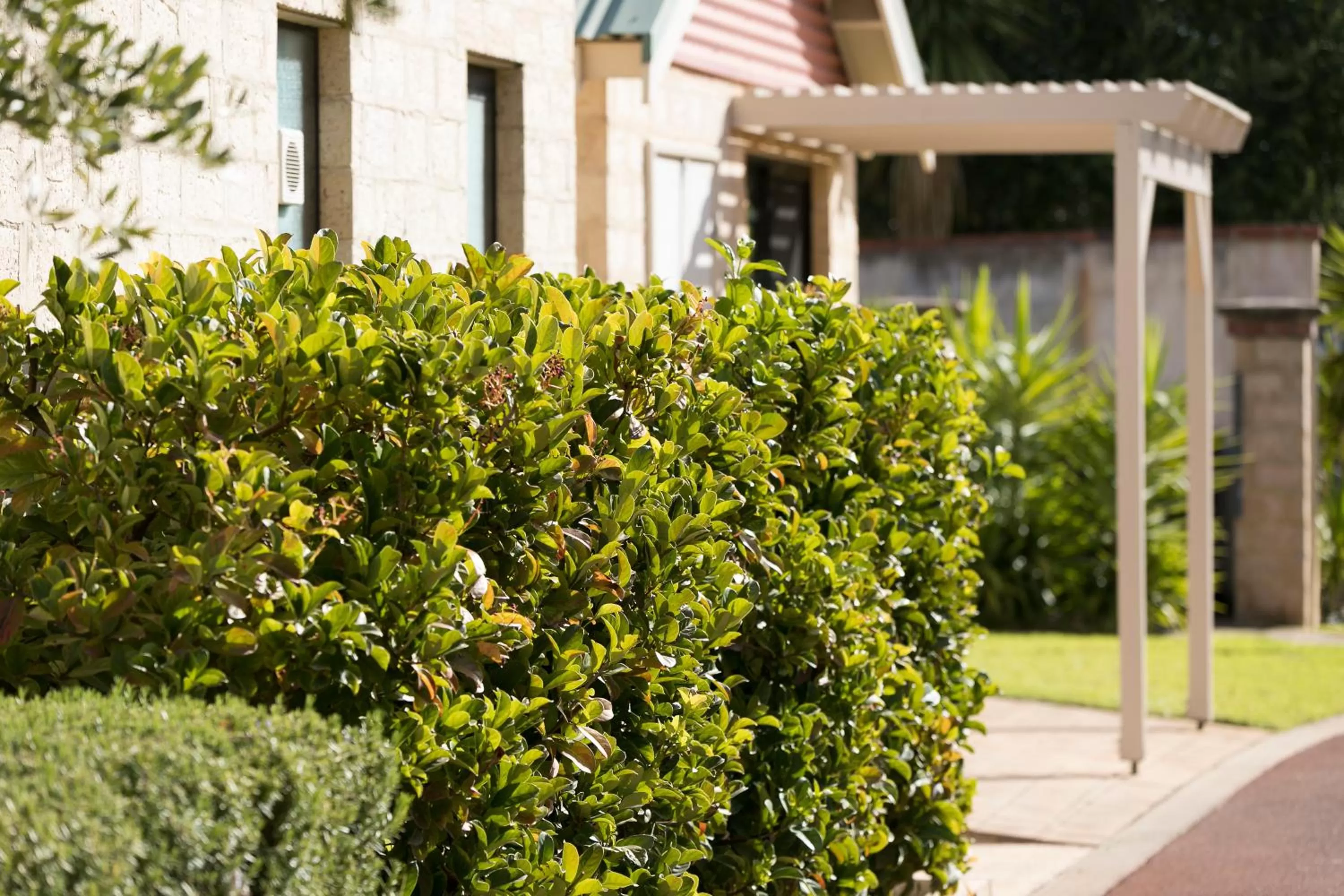 Garden in Amalfi Resort Busselton's Best Kept Secret