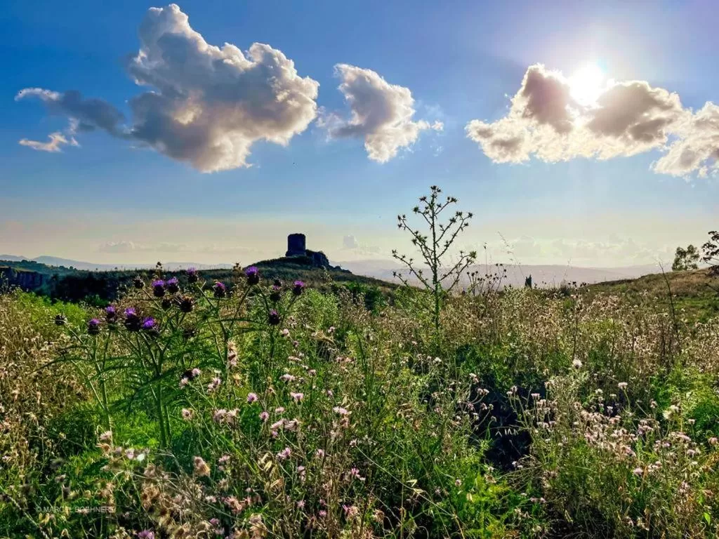 Nearby landmark in Corleone GUESTHOUSE