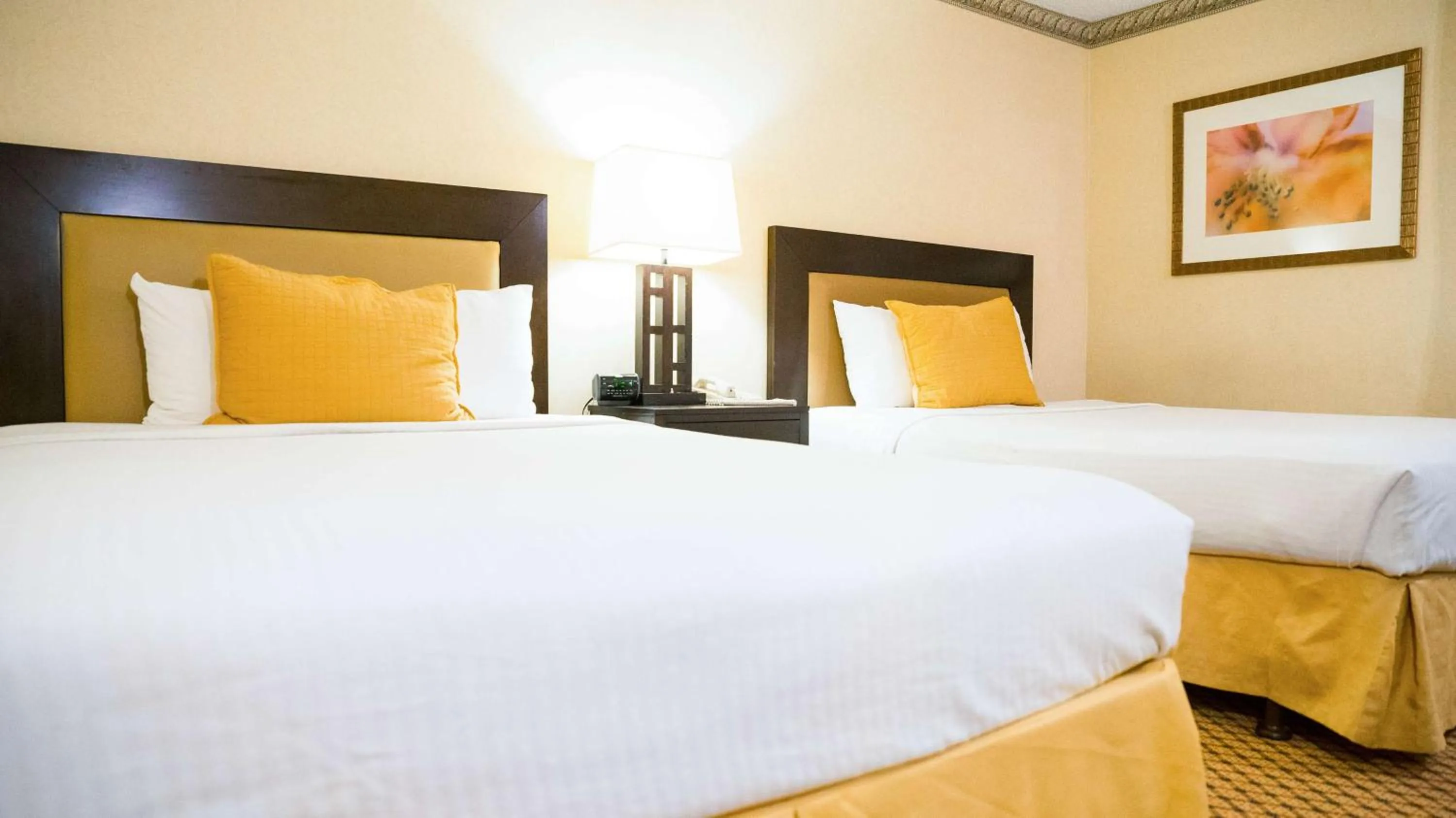 Bedroom, Bed in Motel 6 - Anaheim Hills, CA