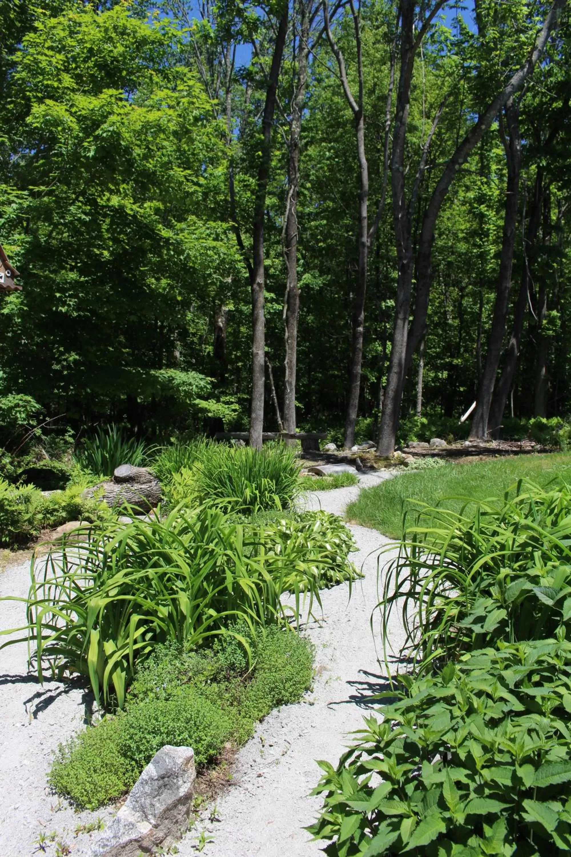 Garden in The Nutmeg Inn