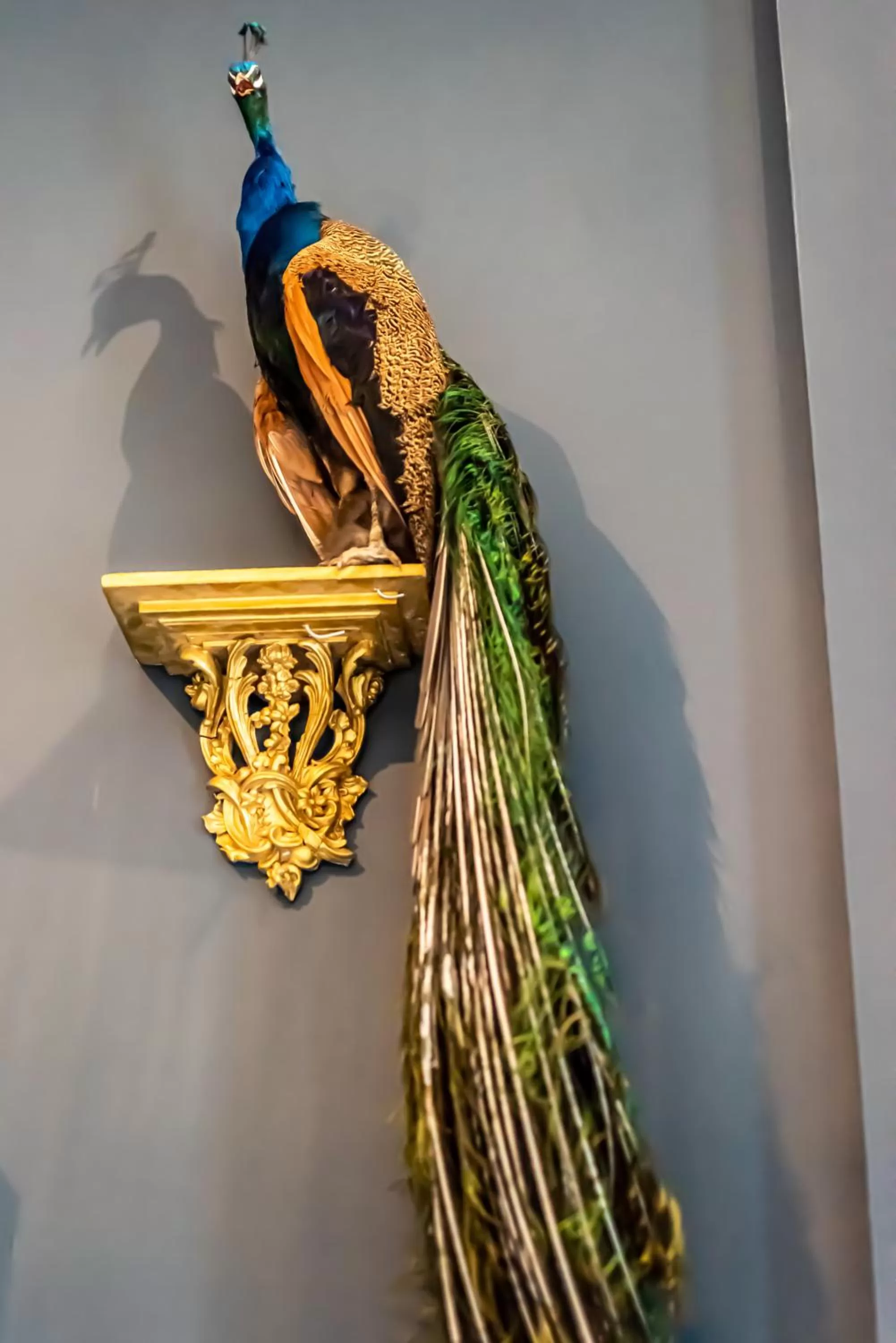 Decorative detail in Melville Castle Hotel