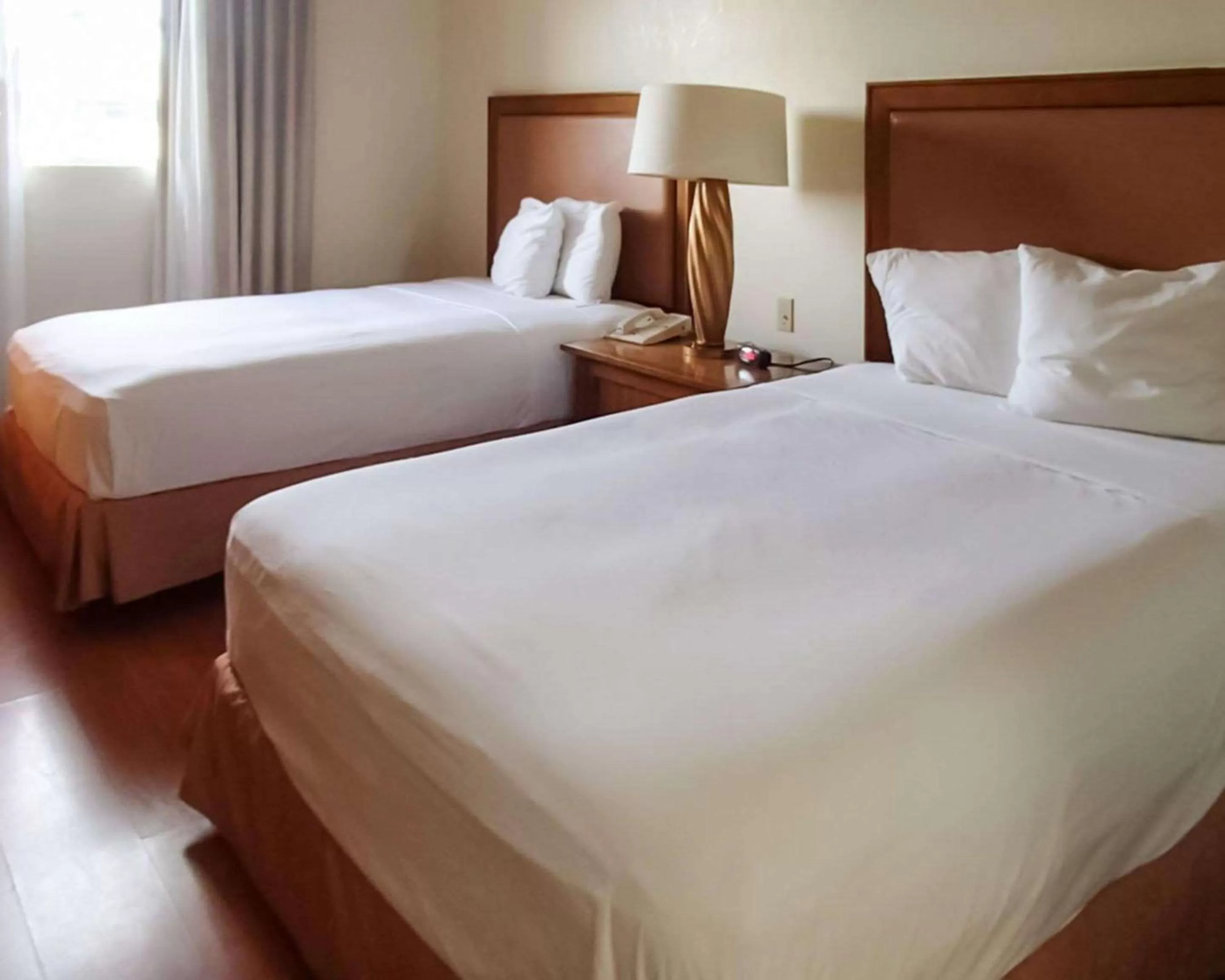 Photo of the whole room, Bed in Rodeway Inn South Miami - Coral Gables