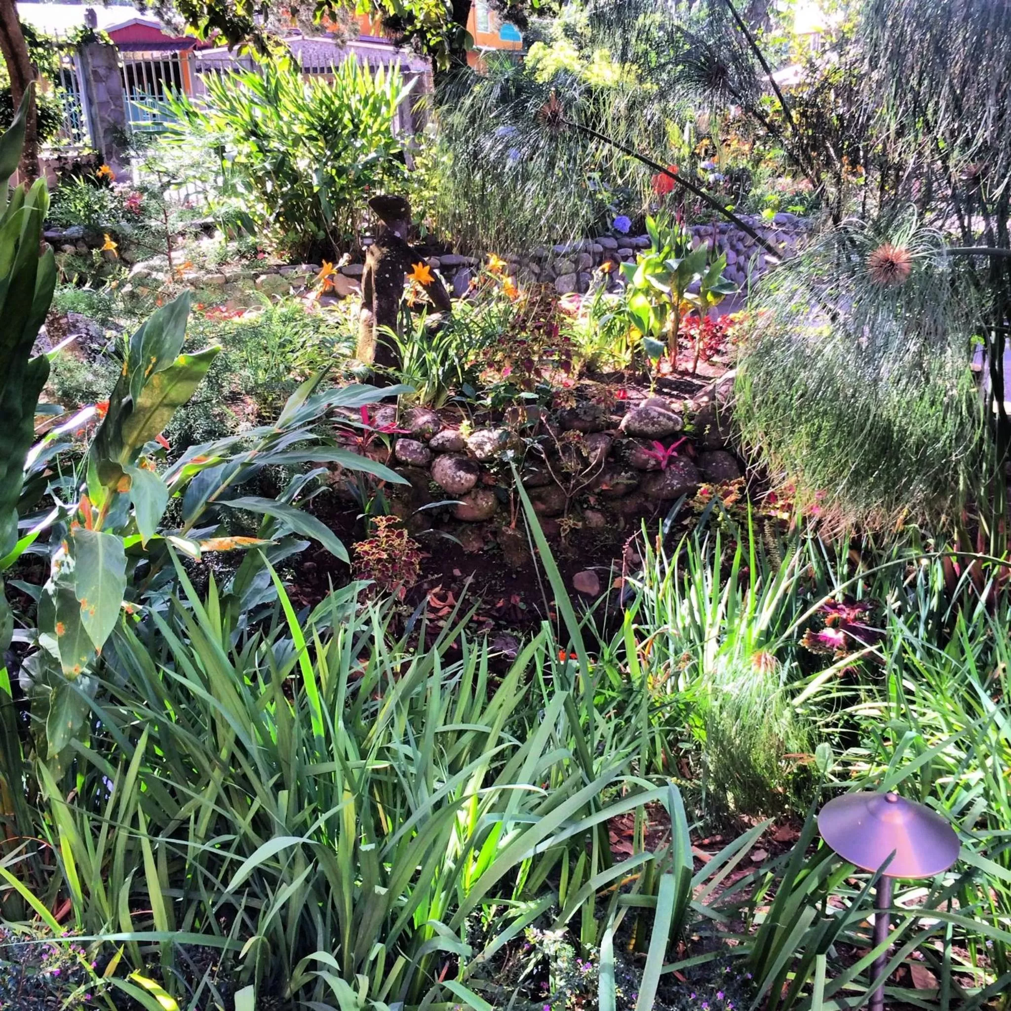 Garden in The Inn at Palo Alto