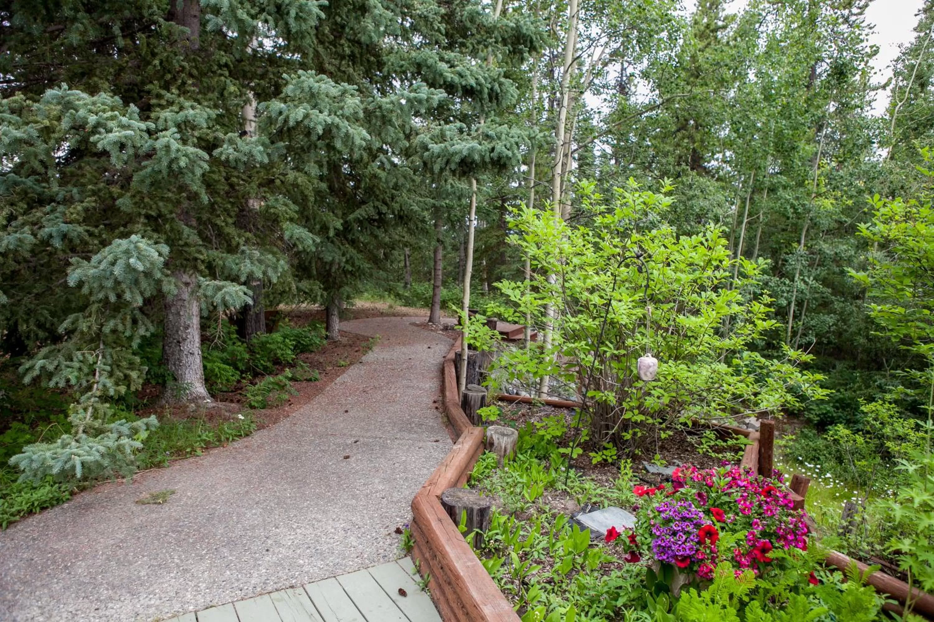 Garden in Hidden Valley Bed and Breakfast