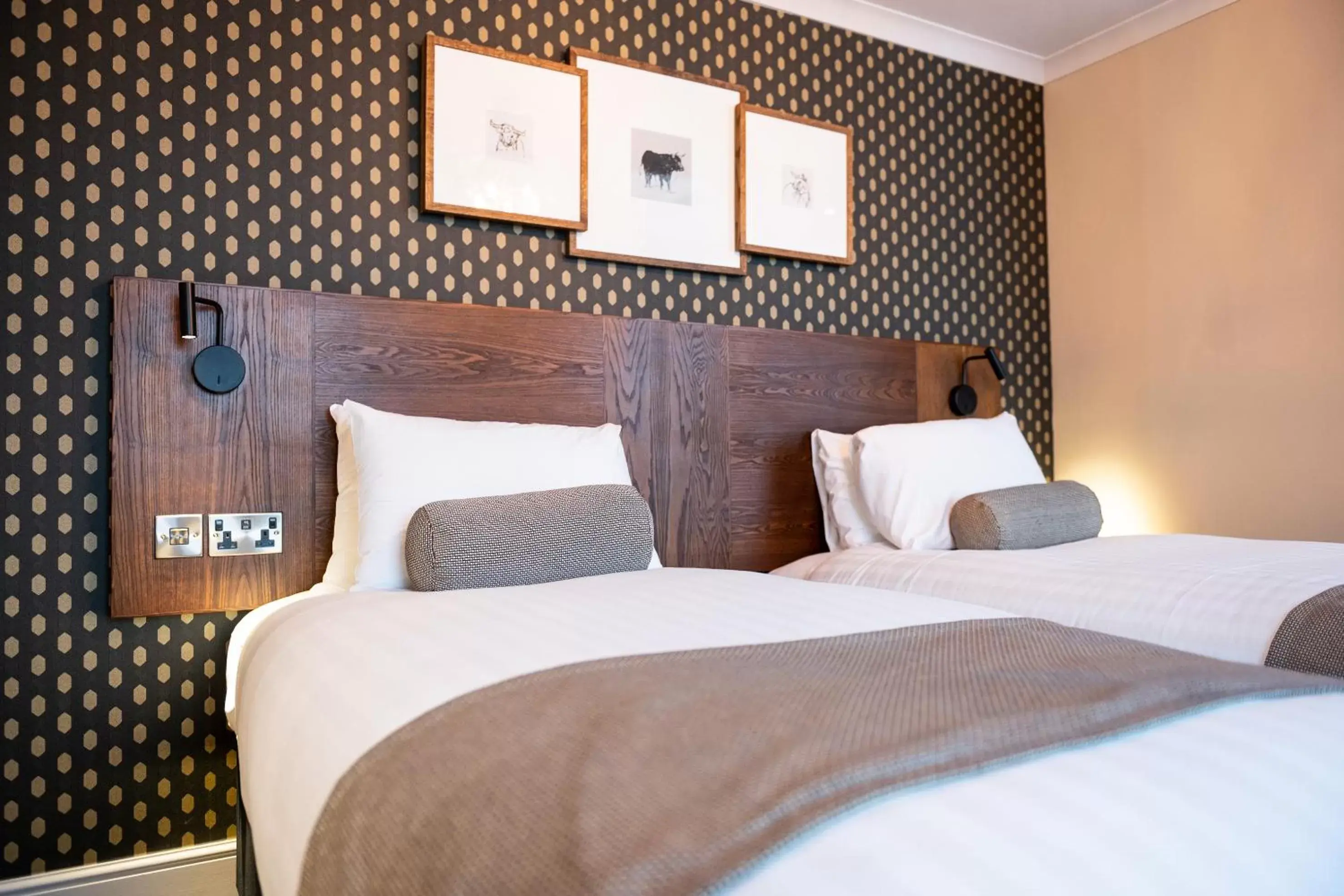 Standard Twin Room in Miller & Carter Sheffield by Innkeeper's Collection Standard Twin Room in Miller & Carter Sheffield by Innkeeper's Collection