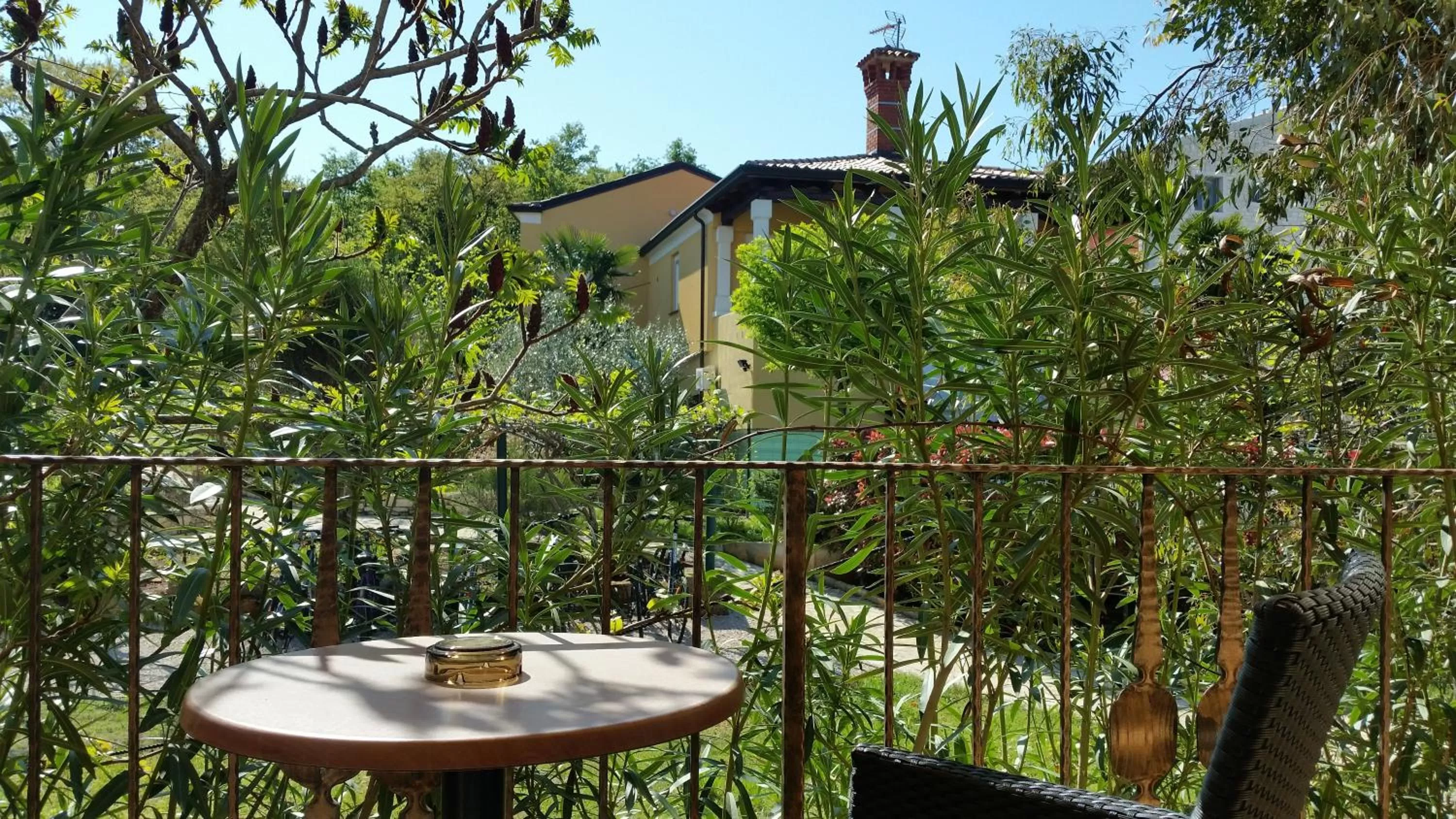 Balcony/Terrace in Hotel Zlatna Vala