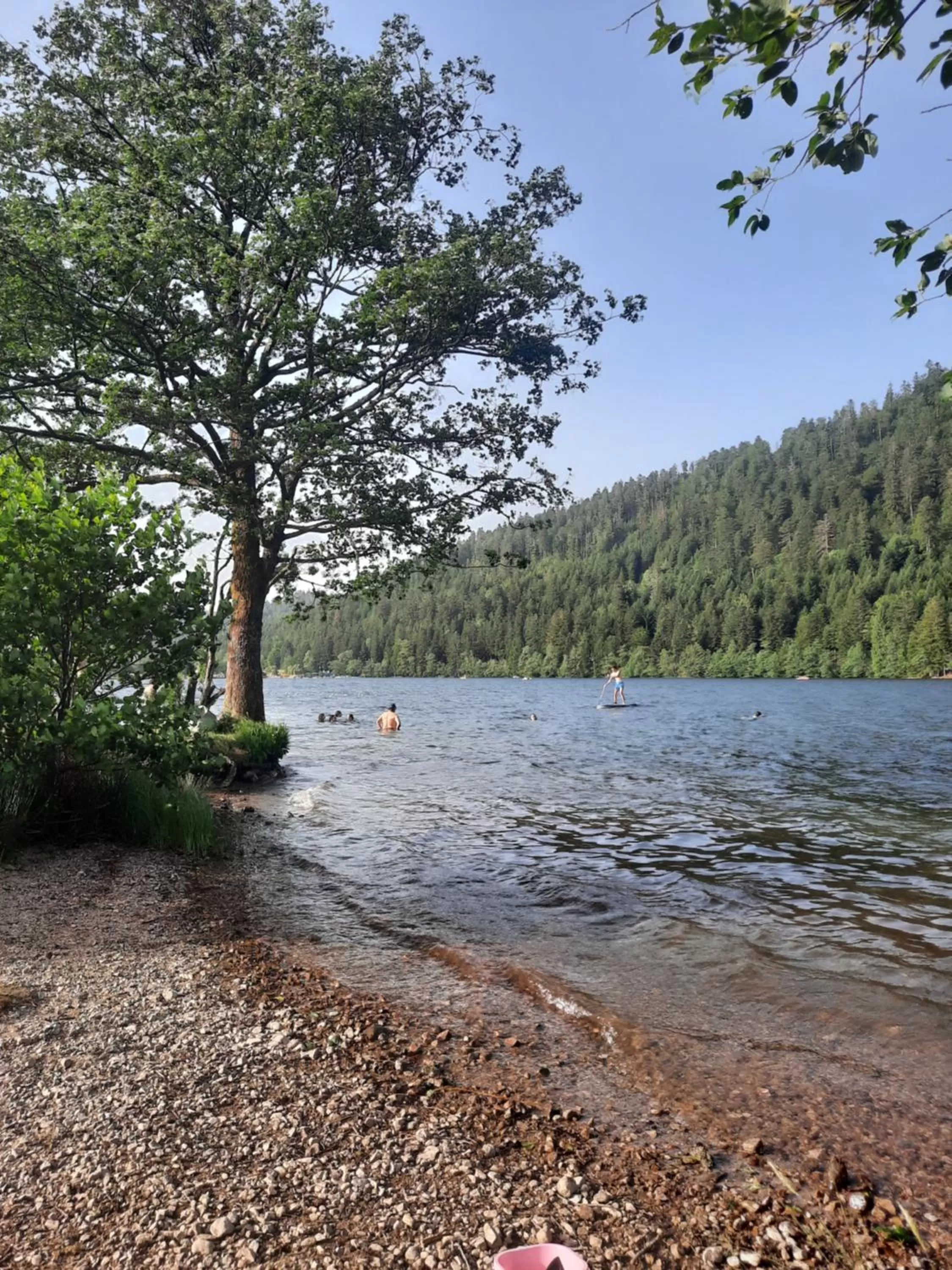 Natural landscape in Au Cœur des Lacs - Chambres d'hôtes