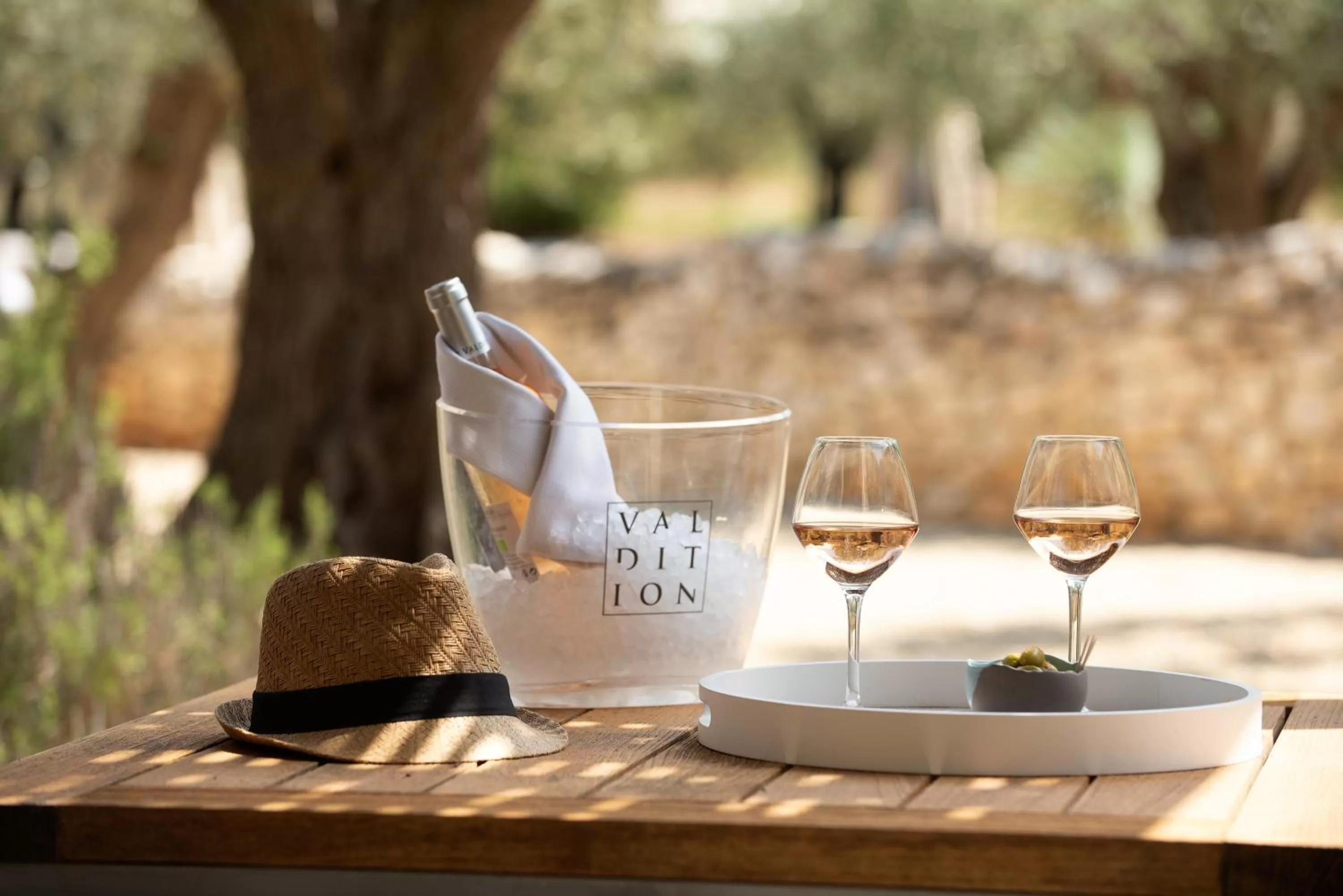 Drinks in Domaine la Pierre Blanche