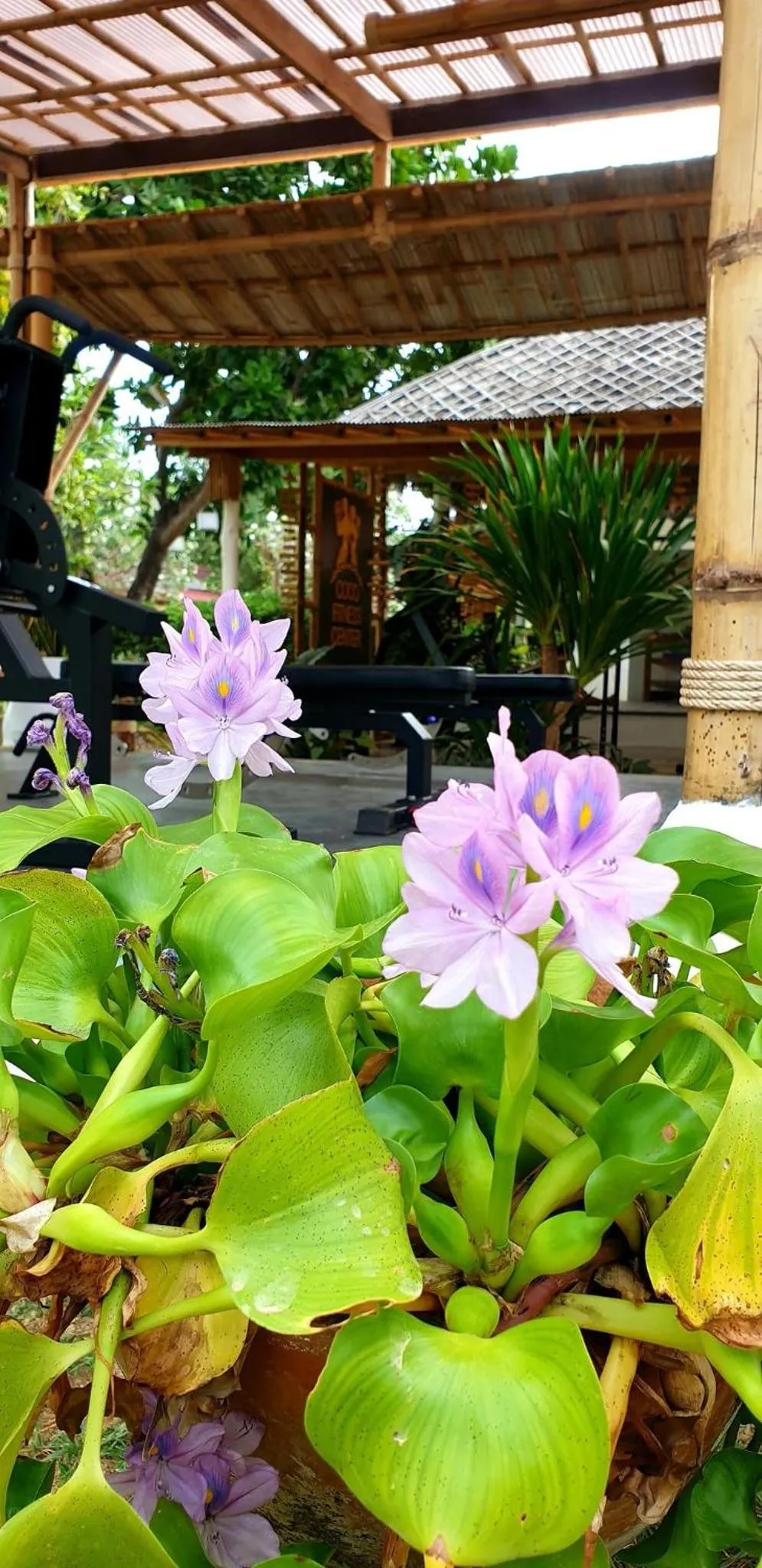 Fitness centre/facilities in Coco Lanta Resort - SHA Extra Plus