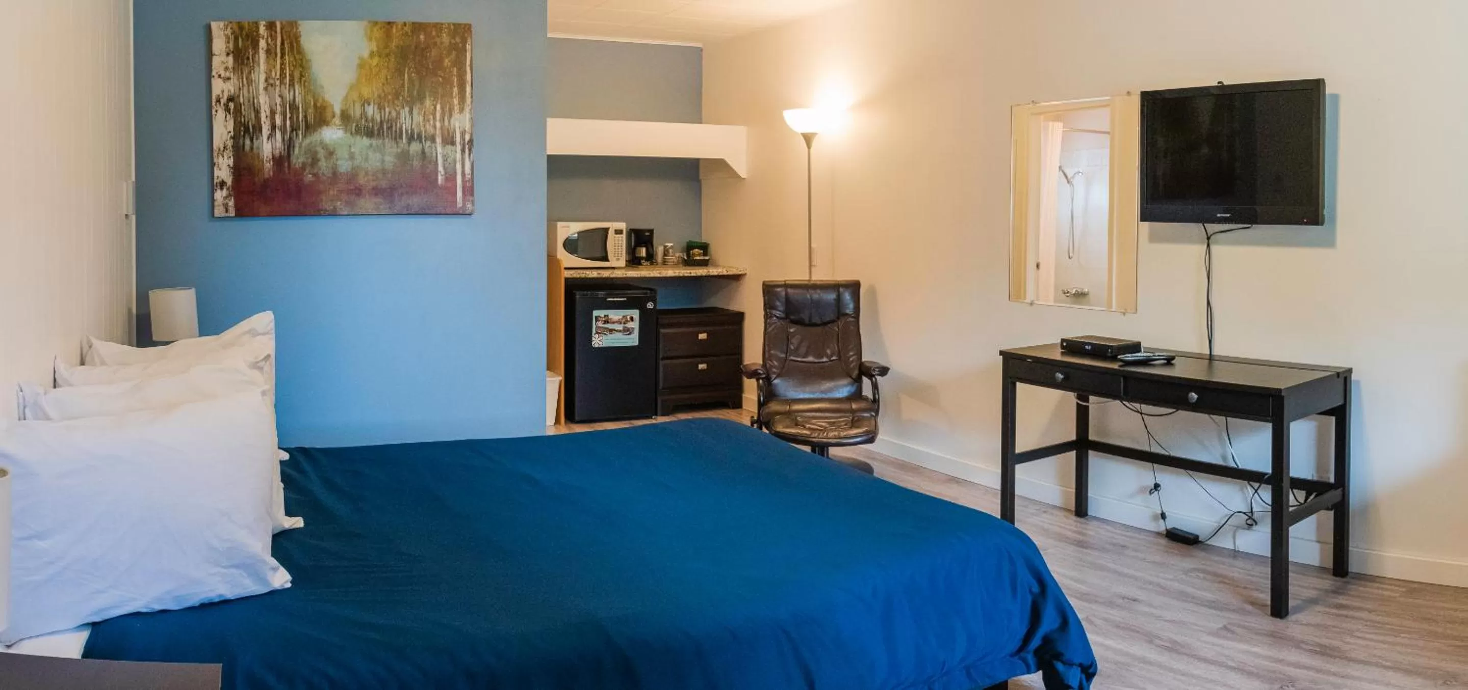 Photo of the whole room, Bed in Lakeview Motel