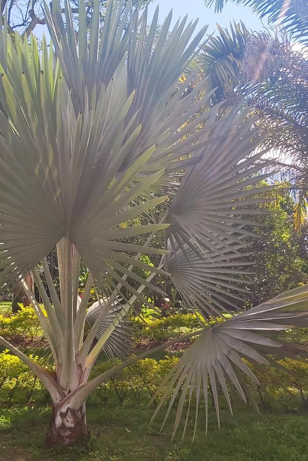 Natural landscape in Balsora Hotel Boutique