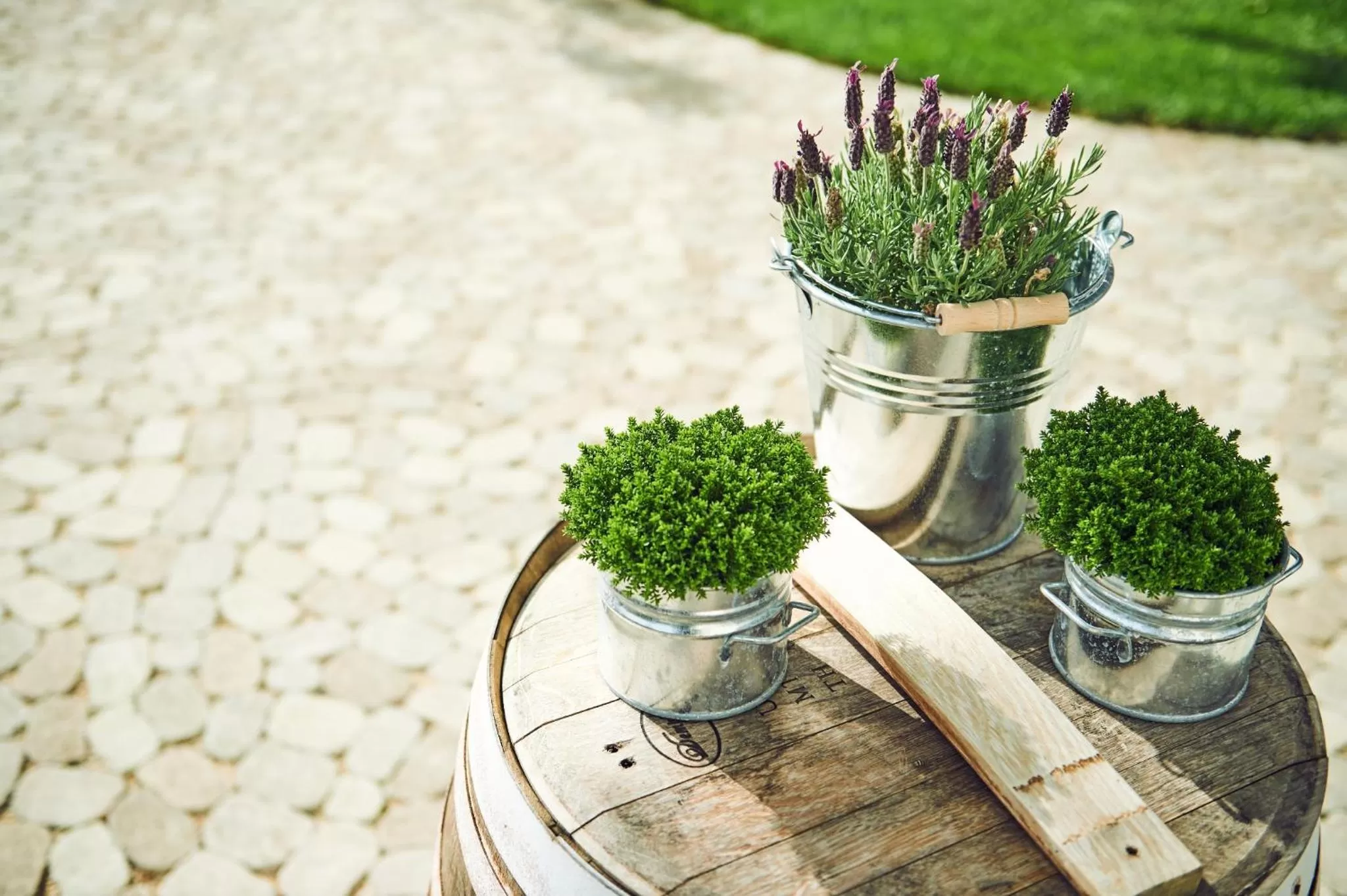 Garden in ALTE LINDE Landhotel & Restaurant