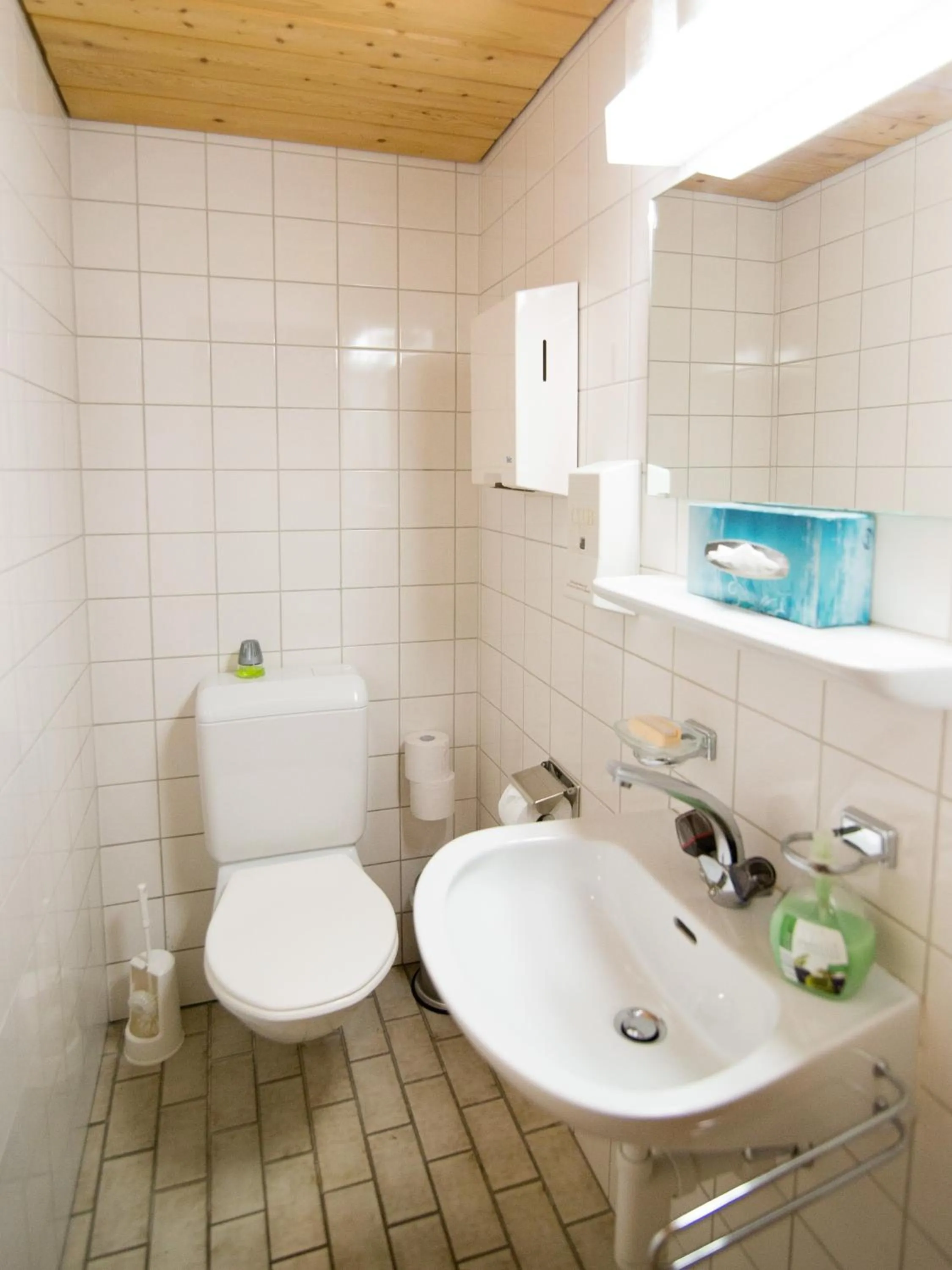 Toilet in Hotel Dischma