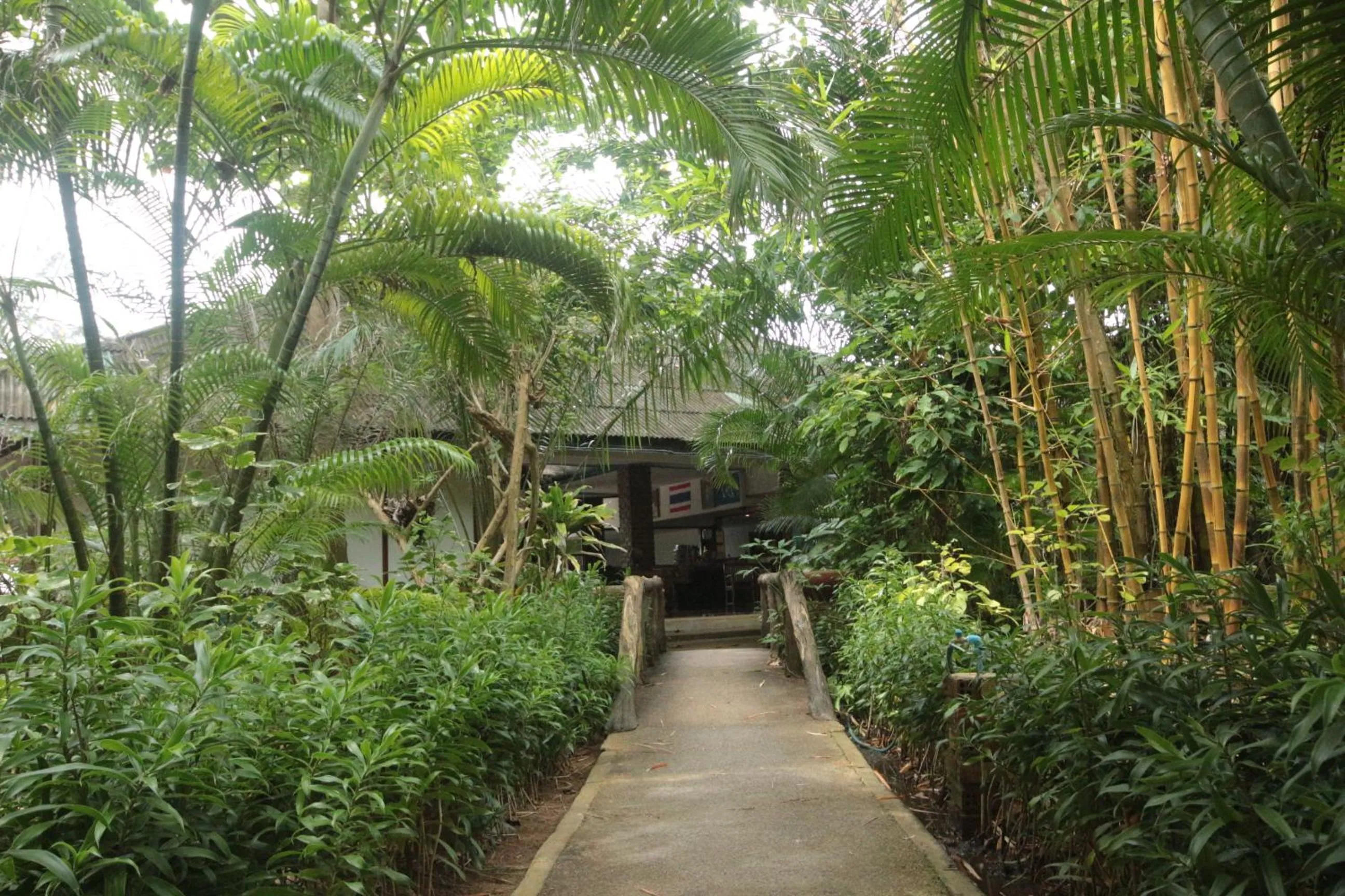 Property building in Lanta Island Resort