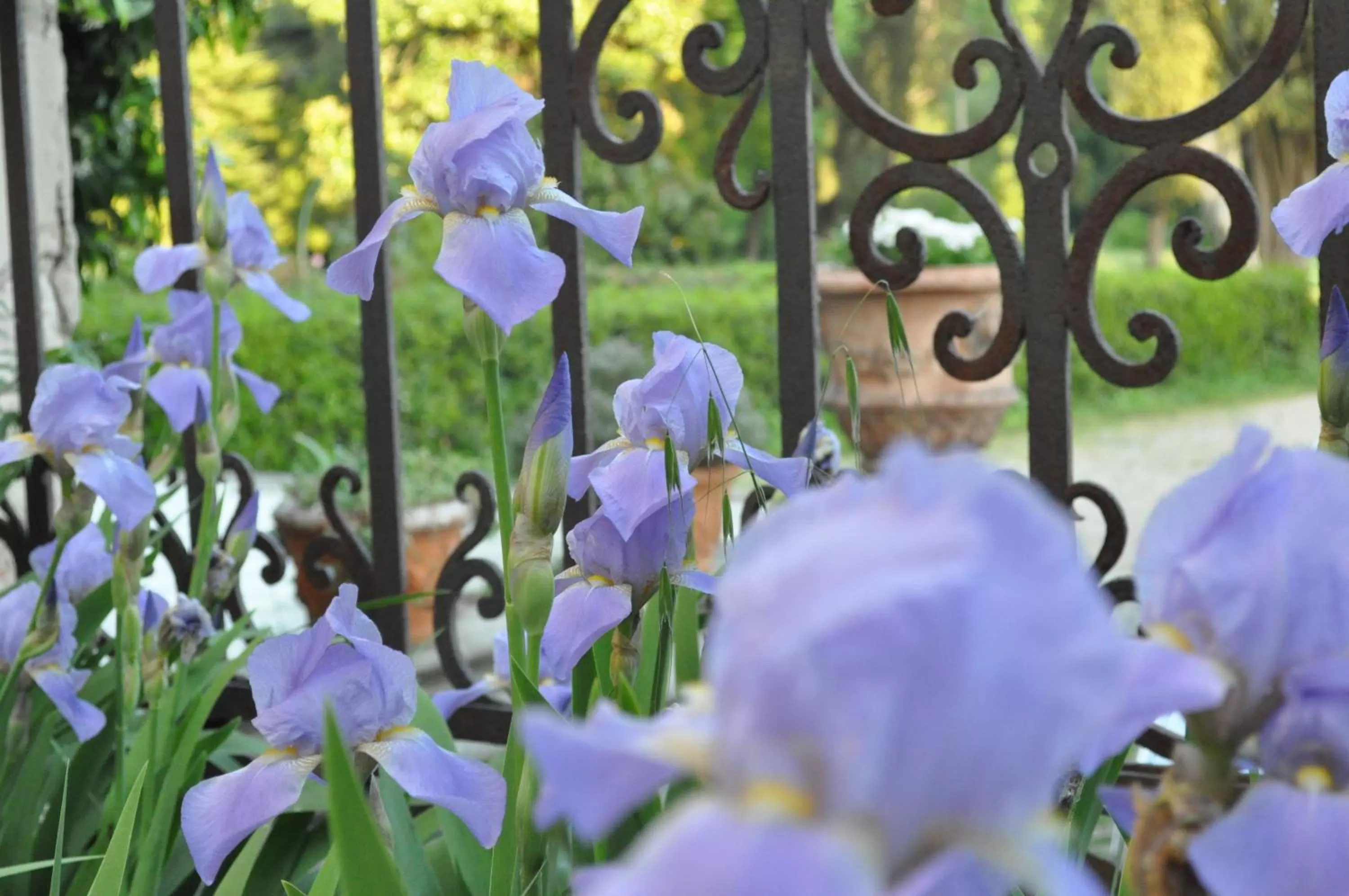 Garden in Armonie di Villa Incontri B&B