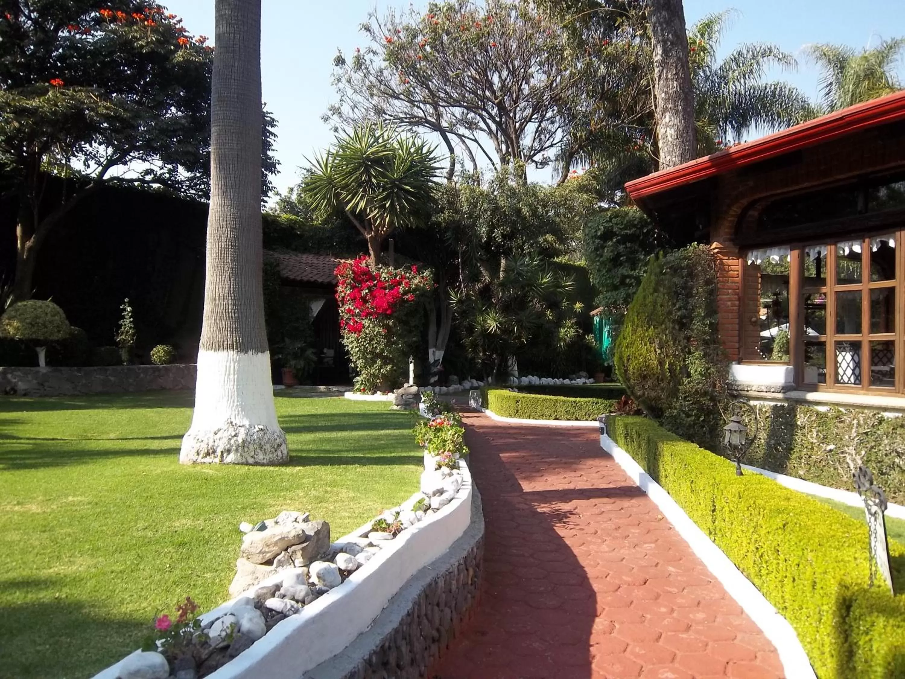 Garden in Posada Los Alcatraces