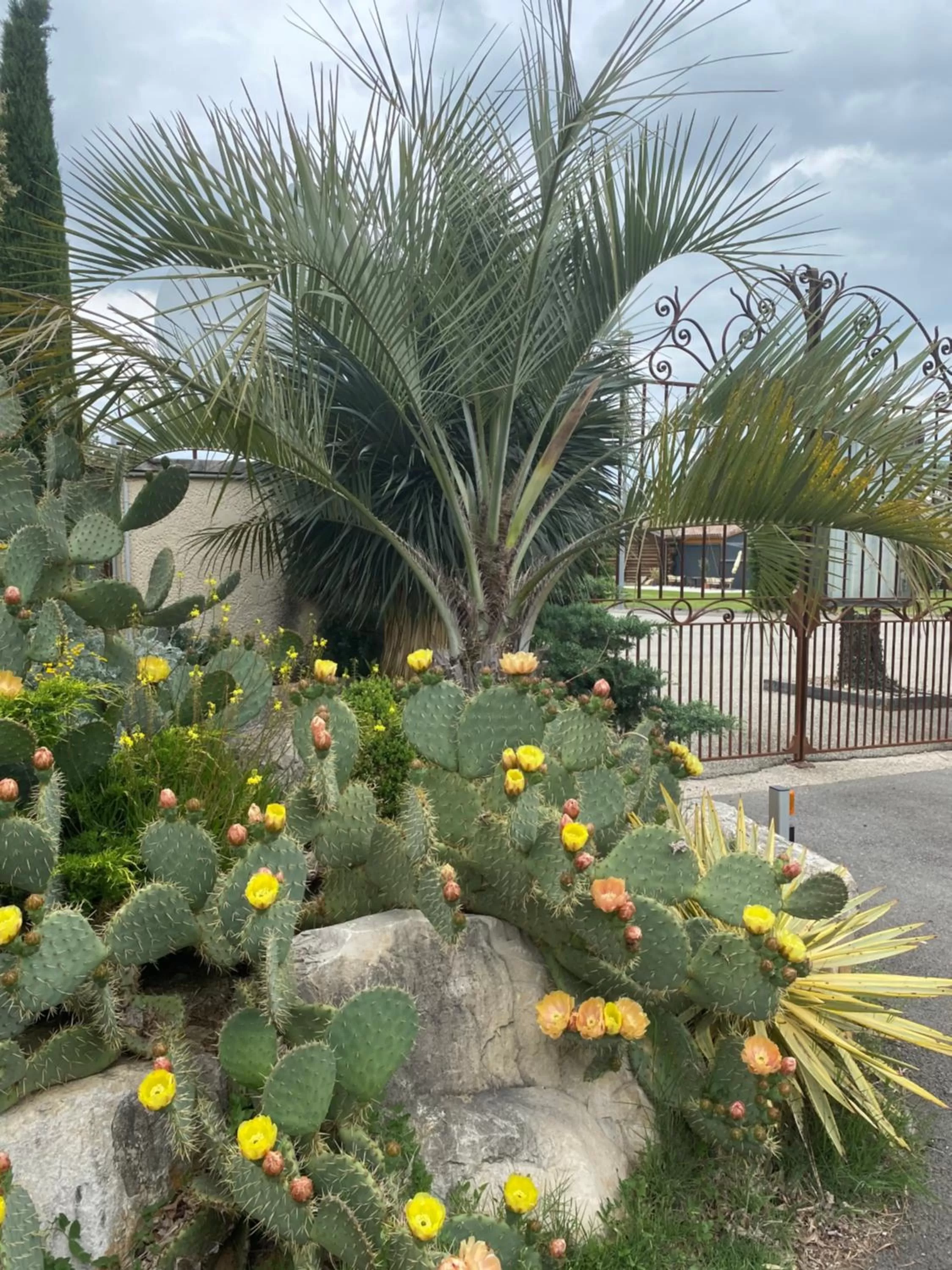 Garden in HOTEL NATURE LE LOFT