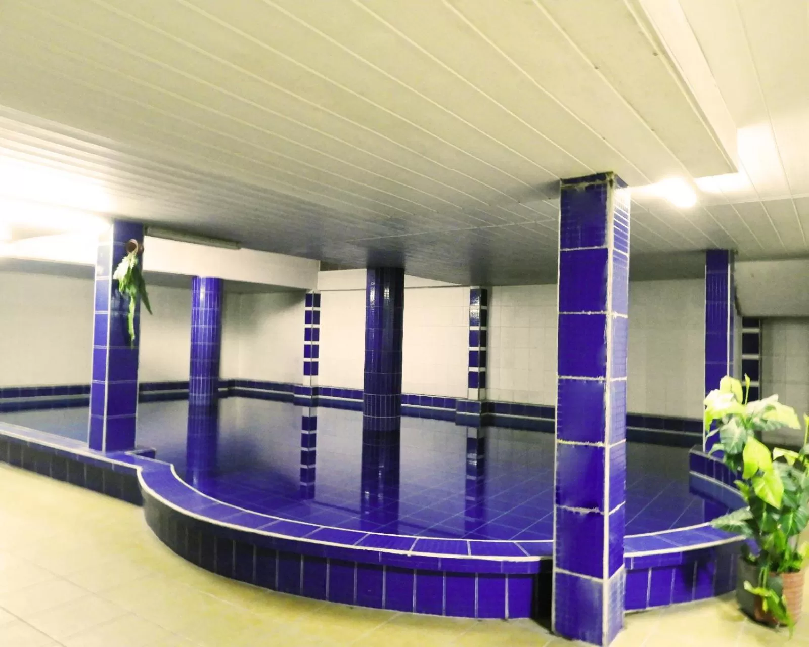 Swimming pool in Hotel Plaza Center