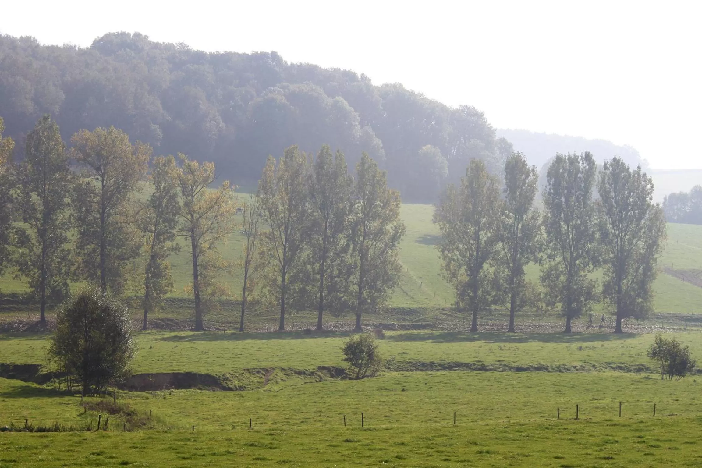 Natural Landscape in Bed en Breakfast VerdeSud