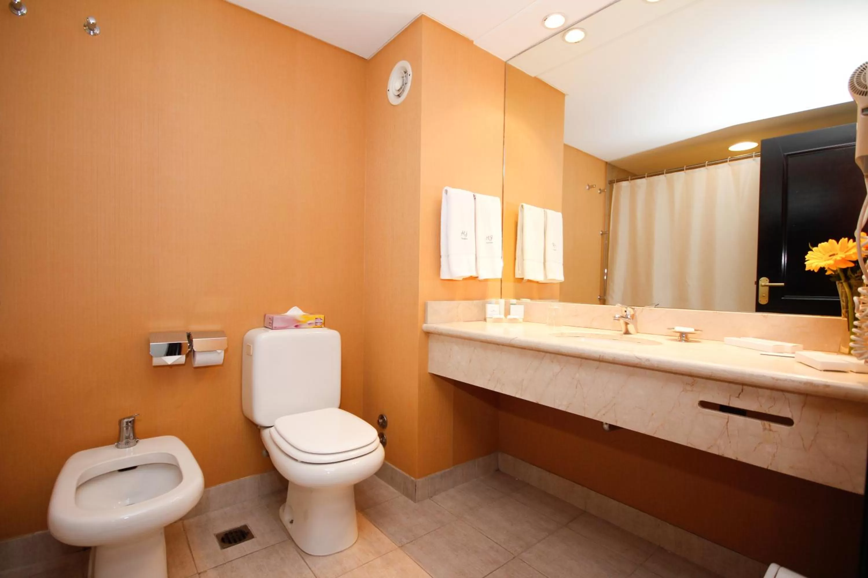 Standard Queen Room in Howard Johnson Plaza by Wyndham Buenos Aires Florida Street