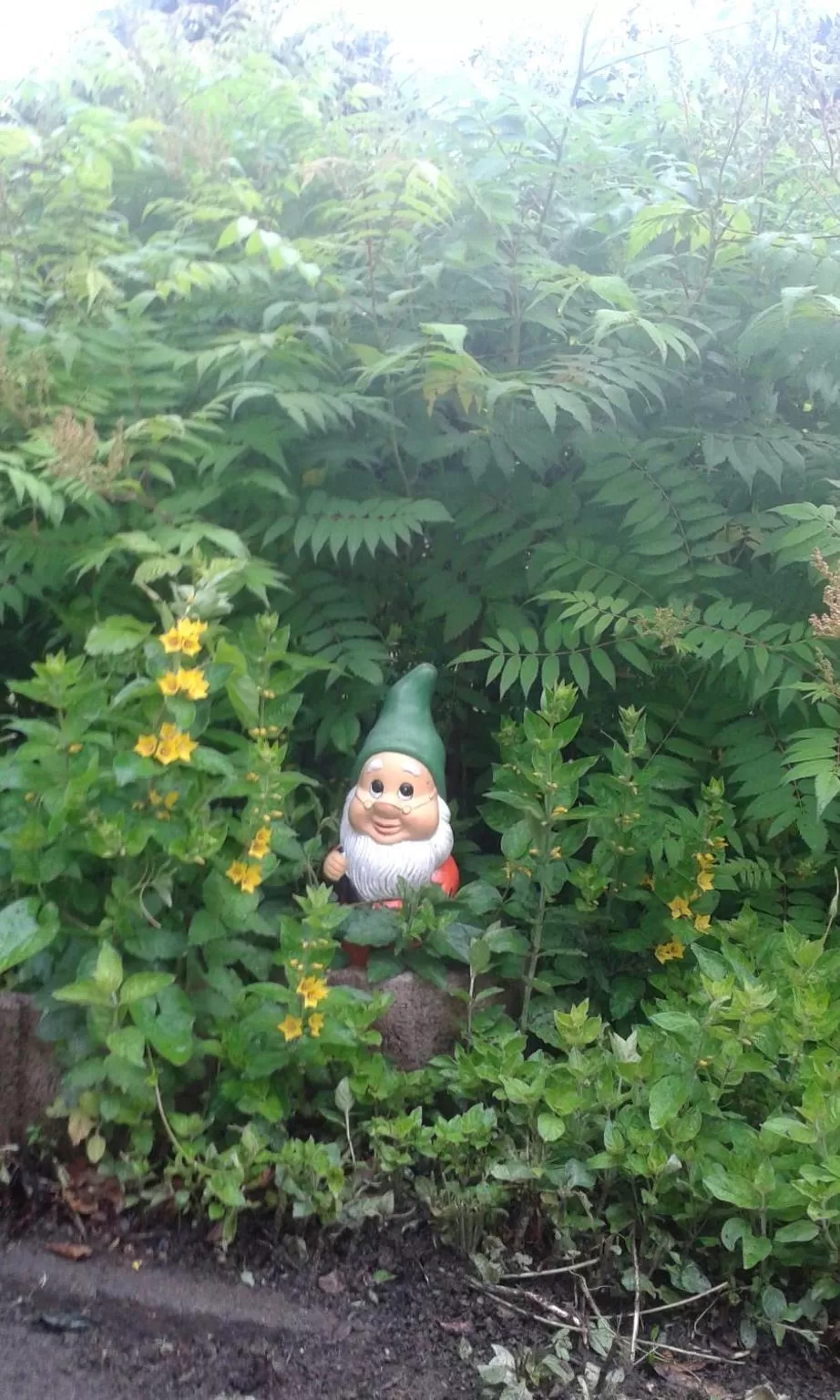 Property building in Villa Lumina