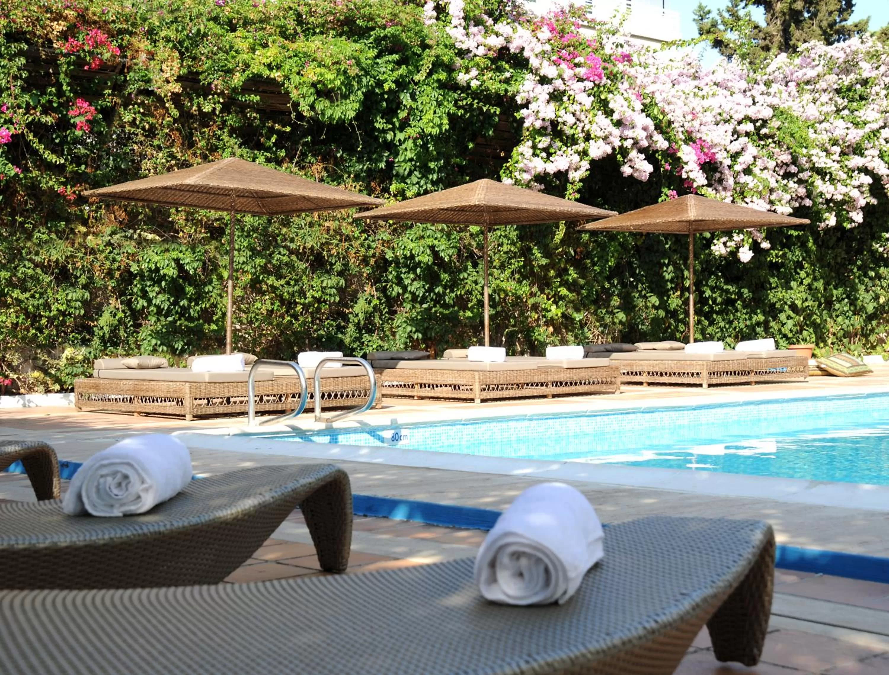 Swimming pool in Congo Palace