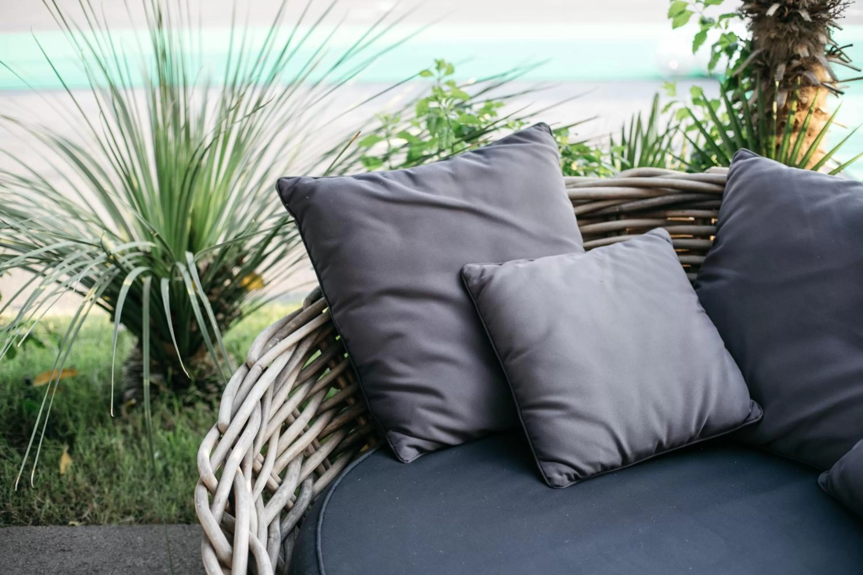 Garden view in Hotel Aloisi