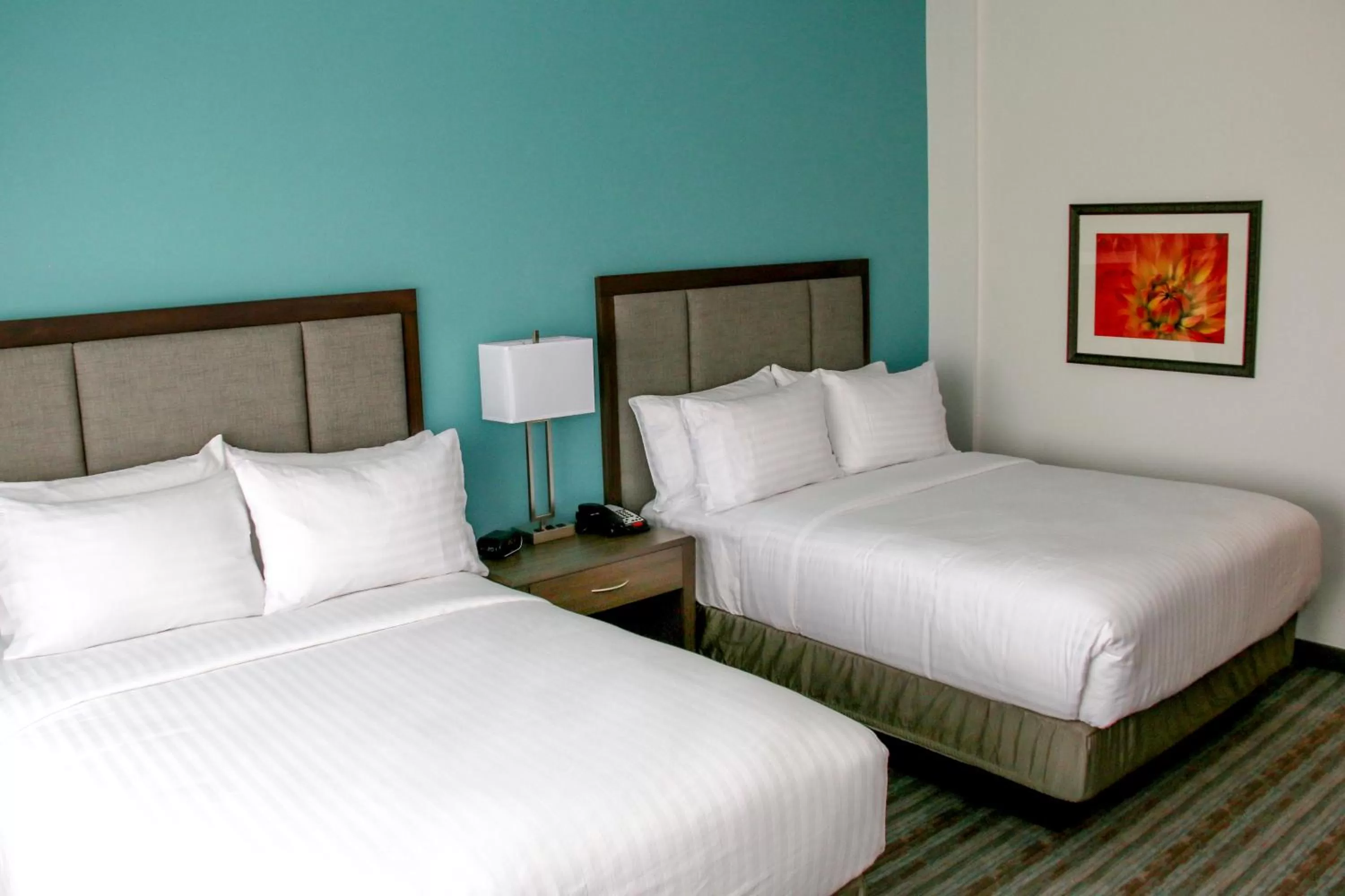 Photo of the whole room, Bed in Holiday Inn & Suites Denver Tech Center-Centennial by IHG