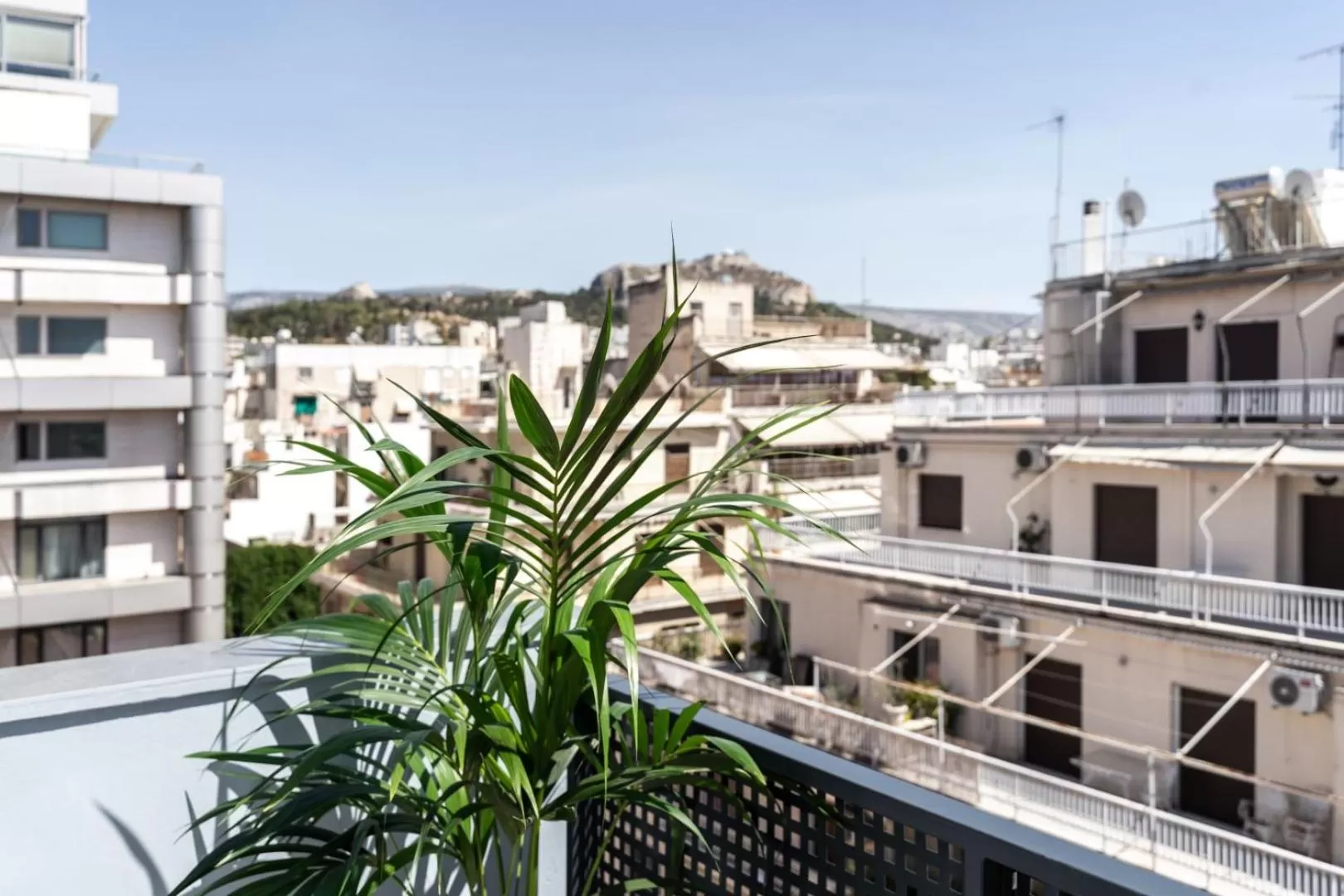 Balcony/Terrace in PAME Wild