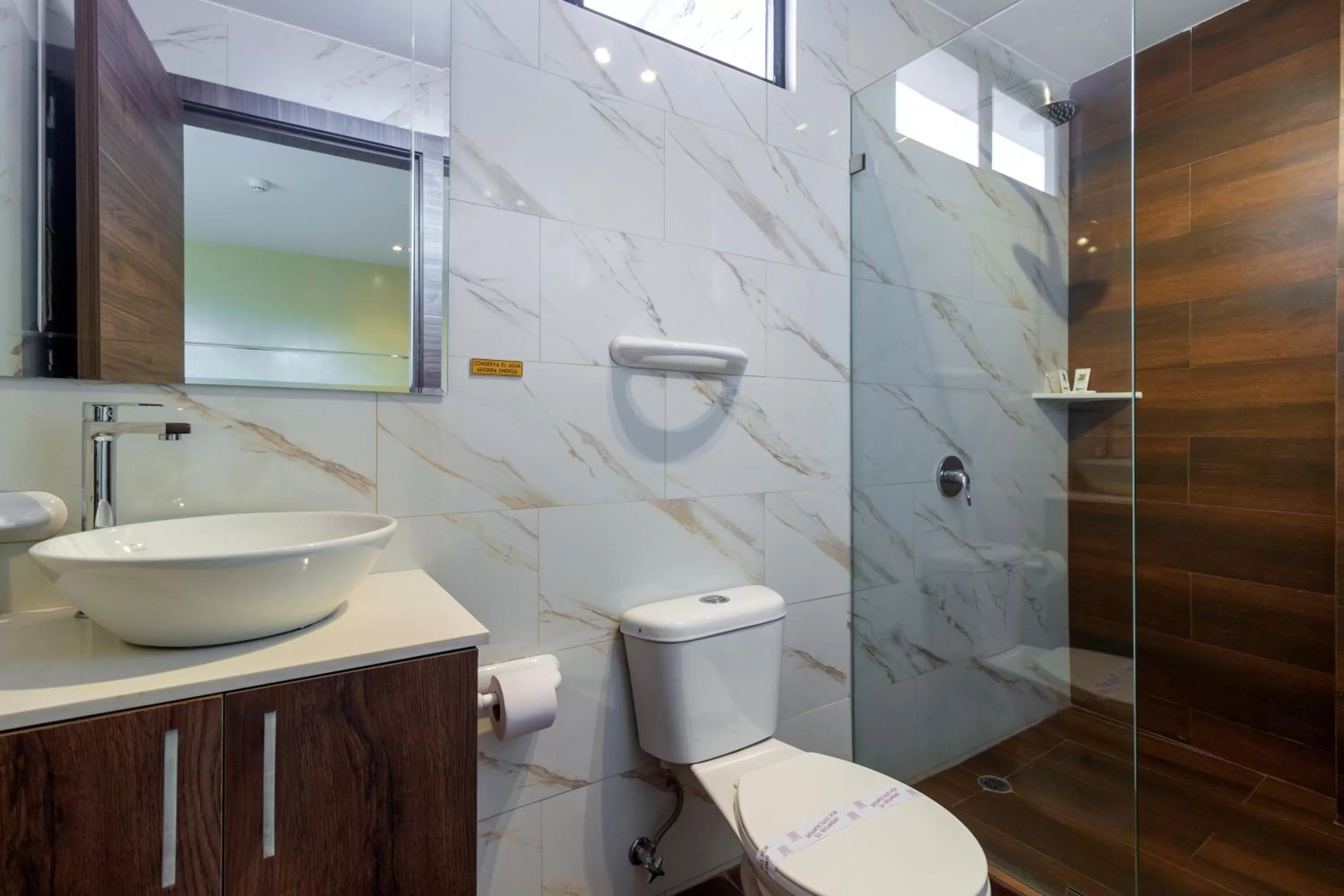 Shower in Hotel Sada