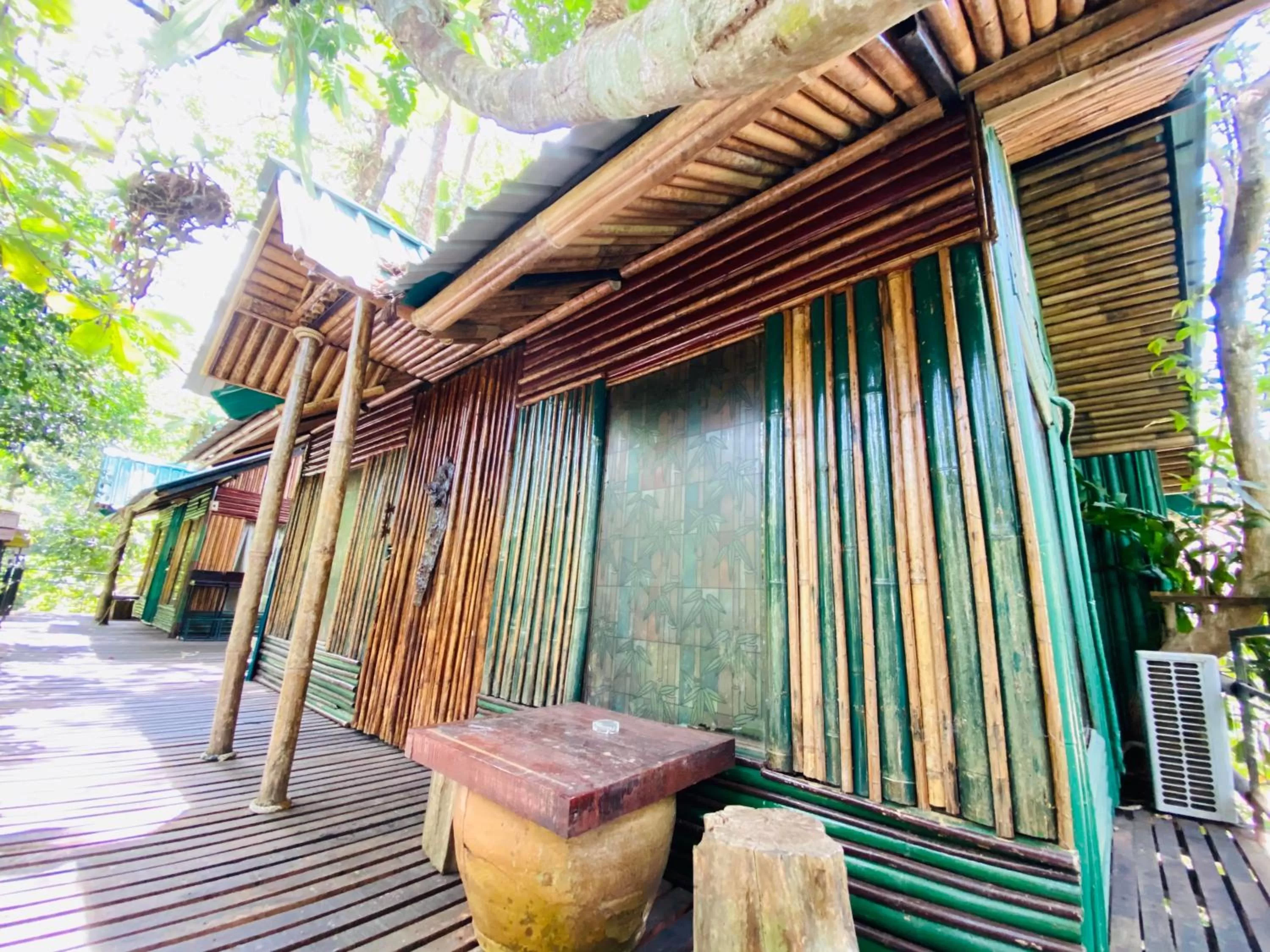 Property building in Khao Sok Tree House Resort