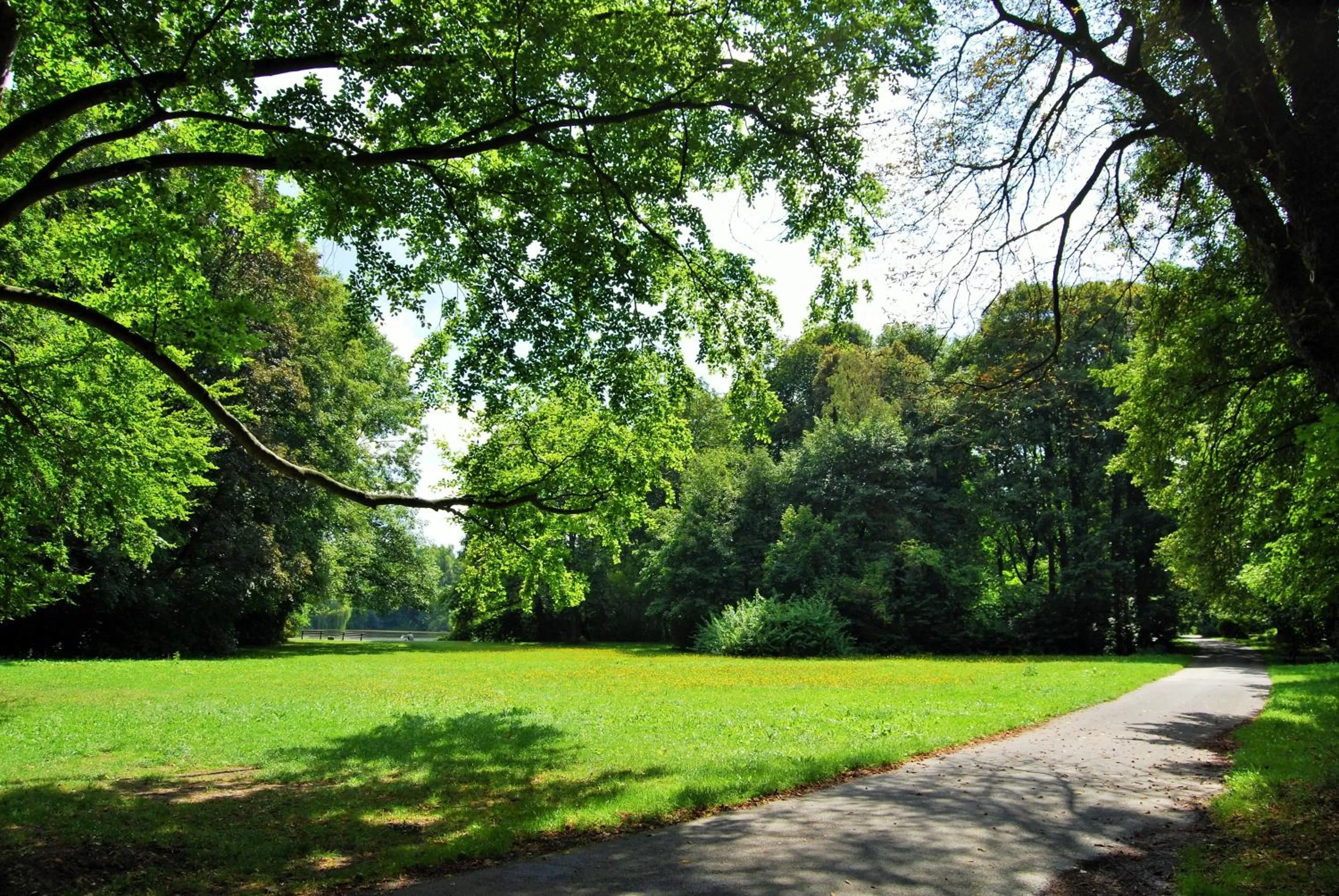 Natural landscape in Feel Good Hotel