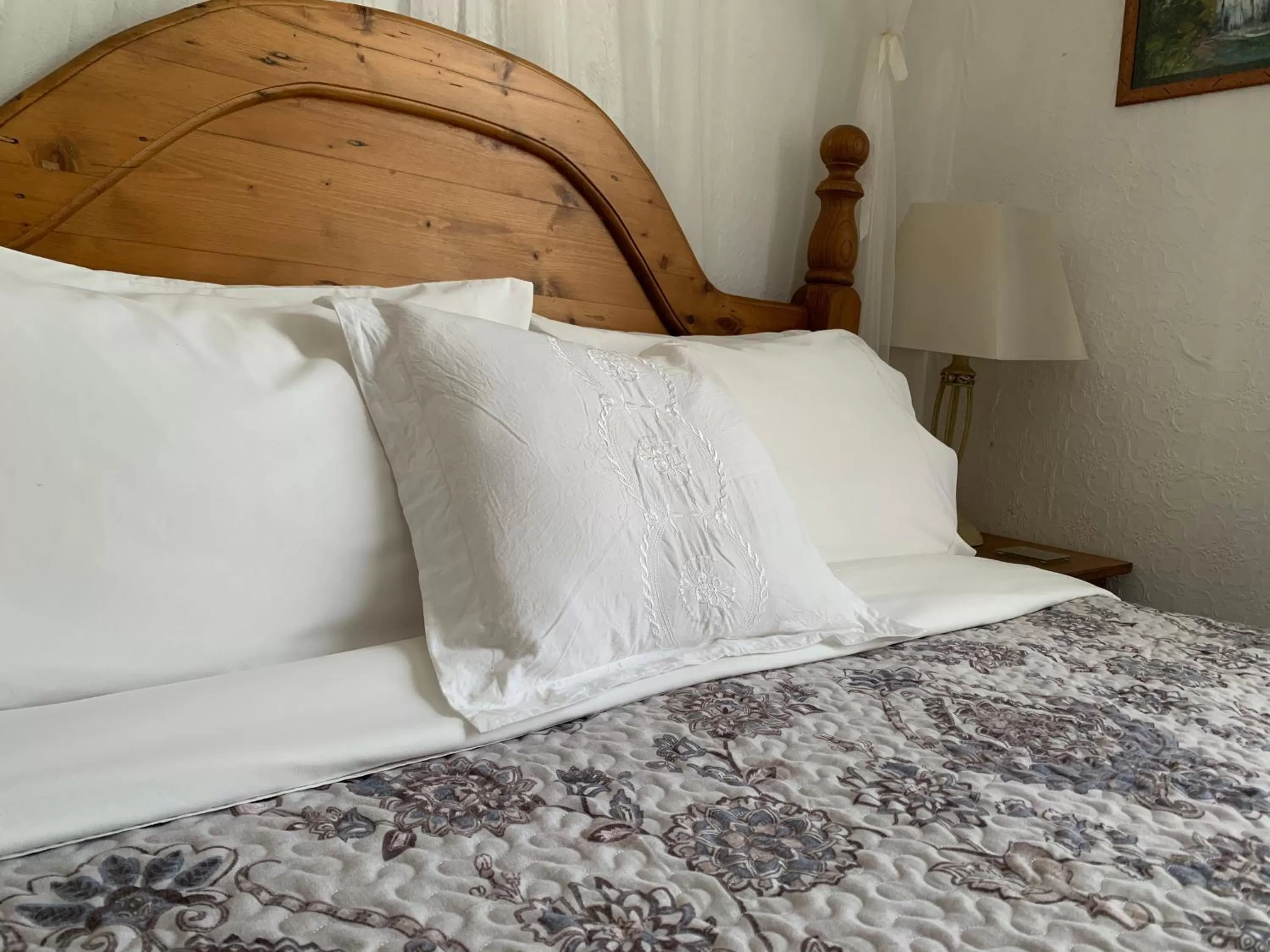 Decorative detail in Karamana Homestead (1872)