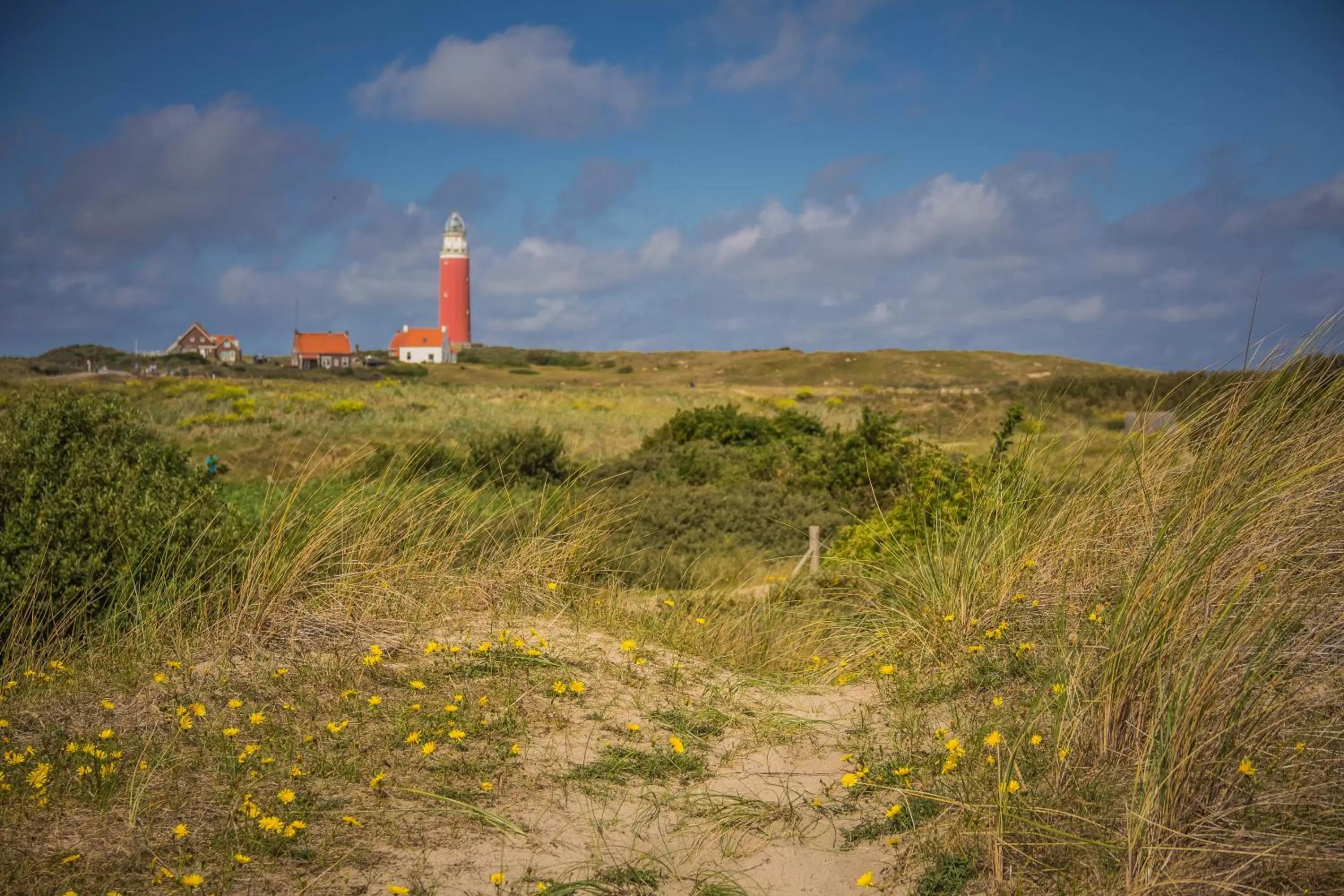 Natural landscape in Bed en Bike Strûnen op Texel