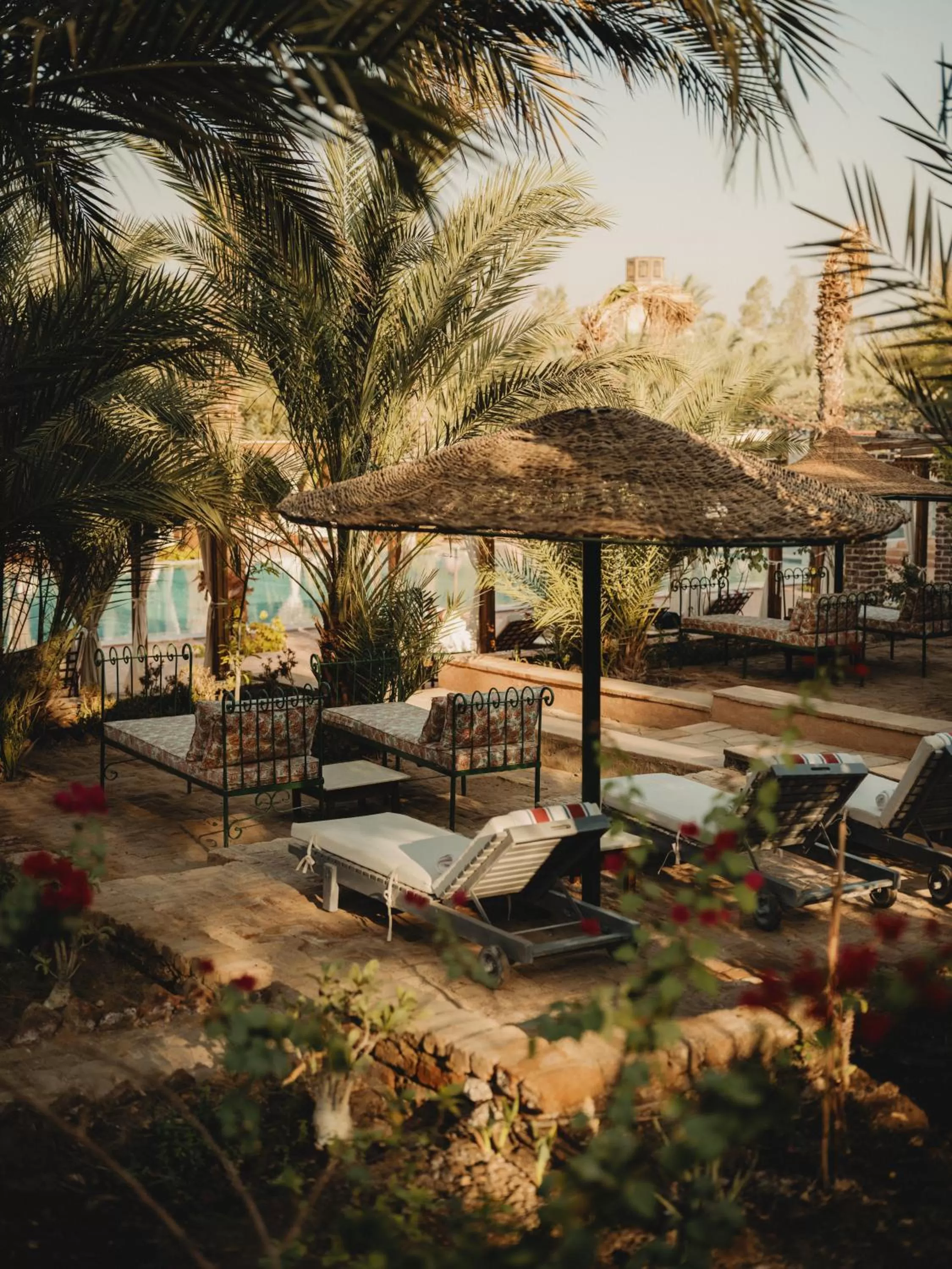 Garden in Al Moudira Hotel