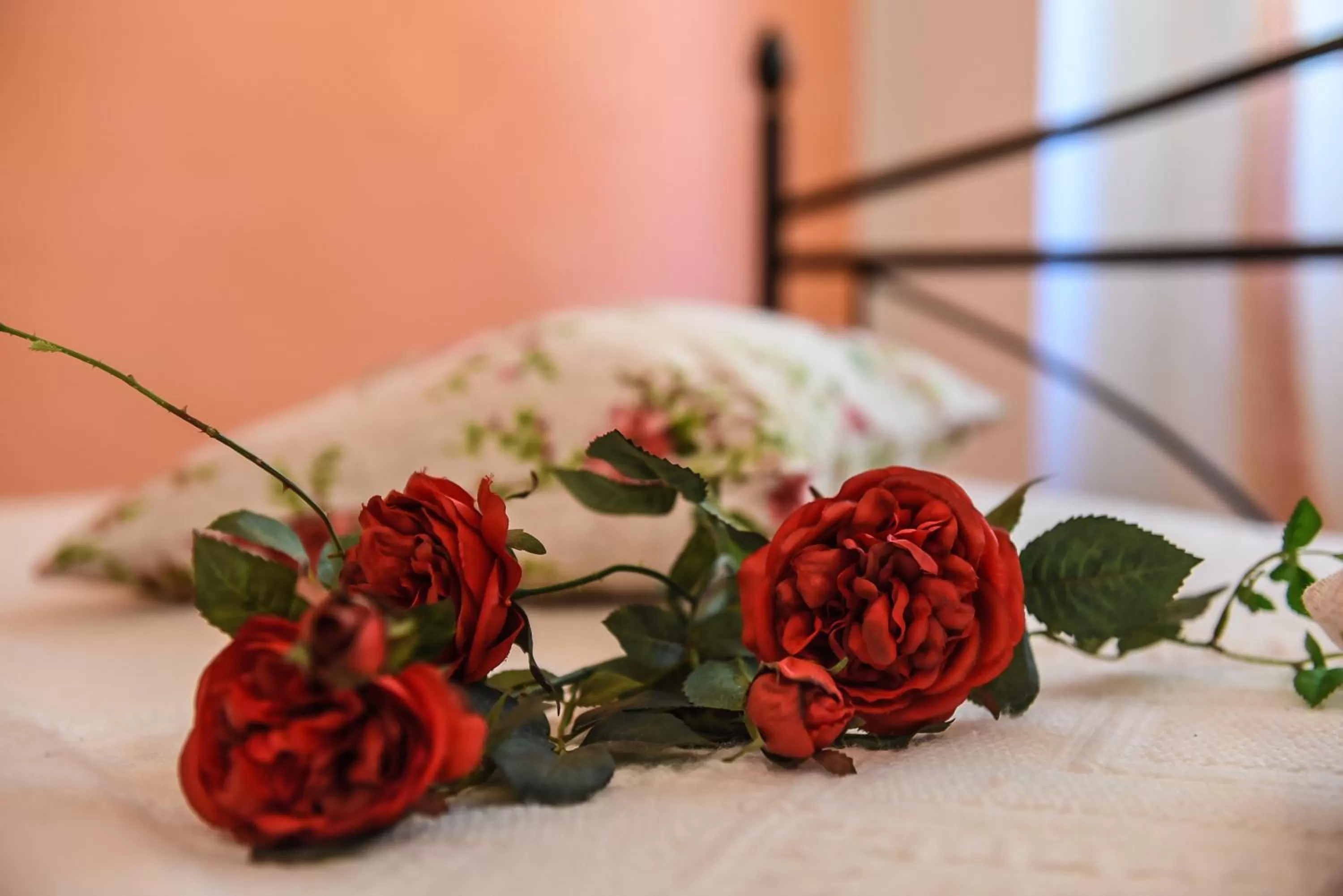 Other, Bed in B&B Villa Sophie