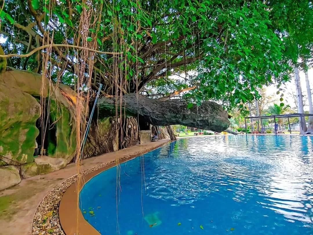 Swimming pool in Blues River Resort