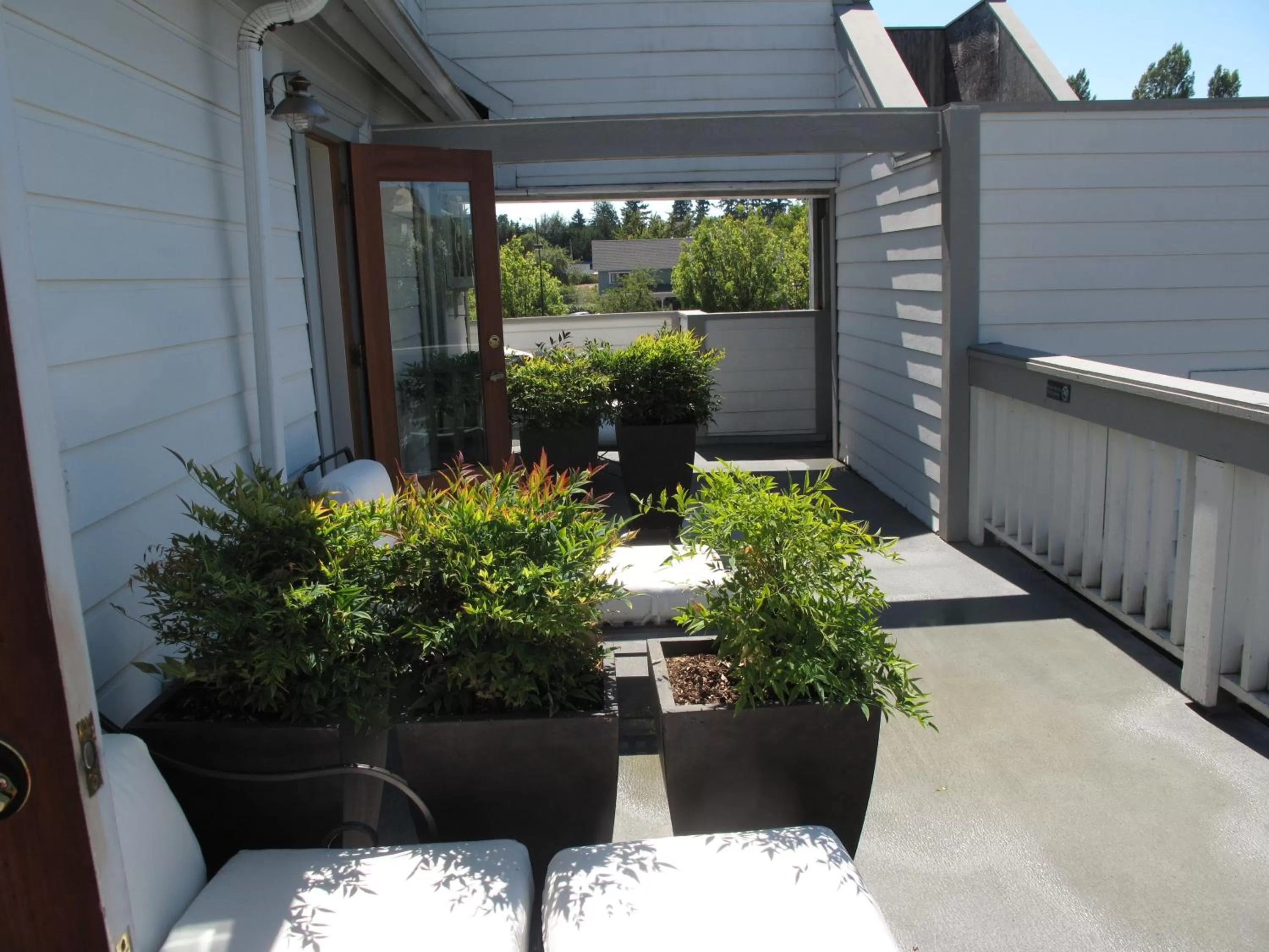 Patio in Bird Rock Hotel