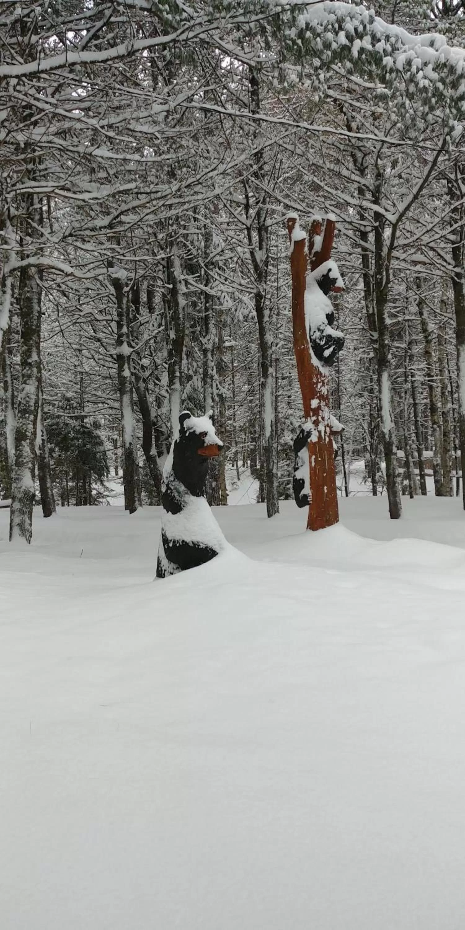 Auberge le Cosy Tremblant