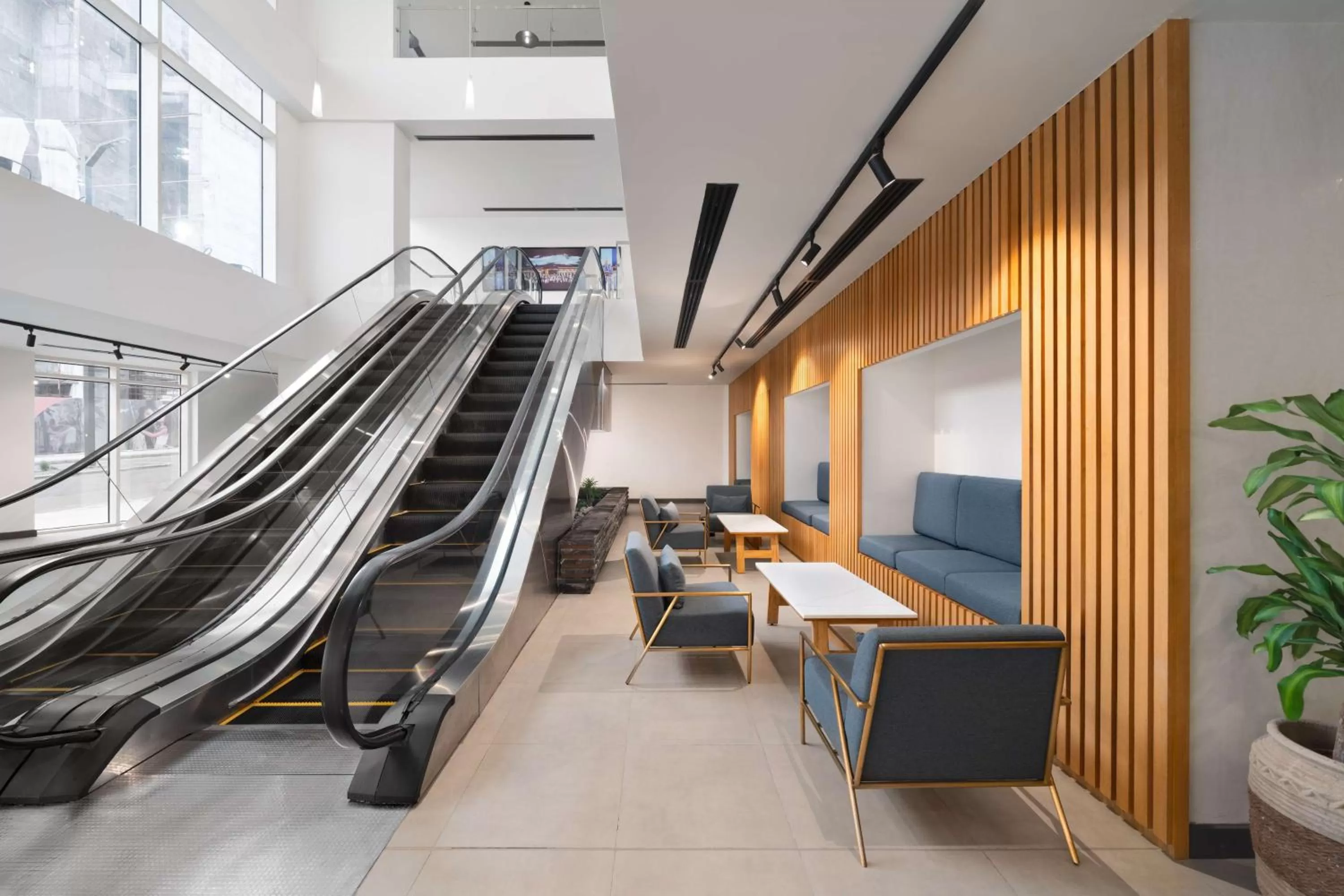 Lobby or reception in Radisson Blu Hotel, Ordu