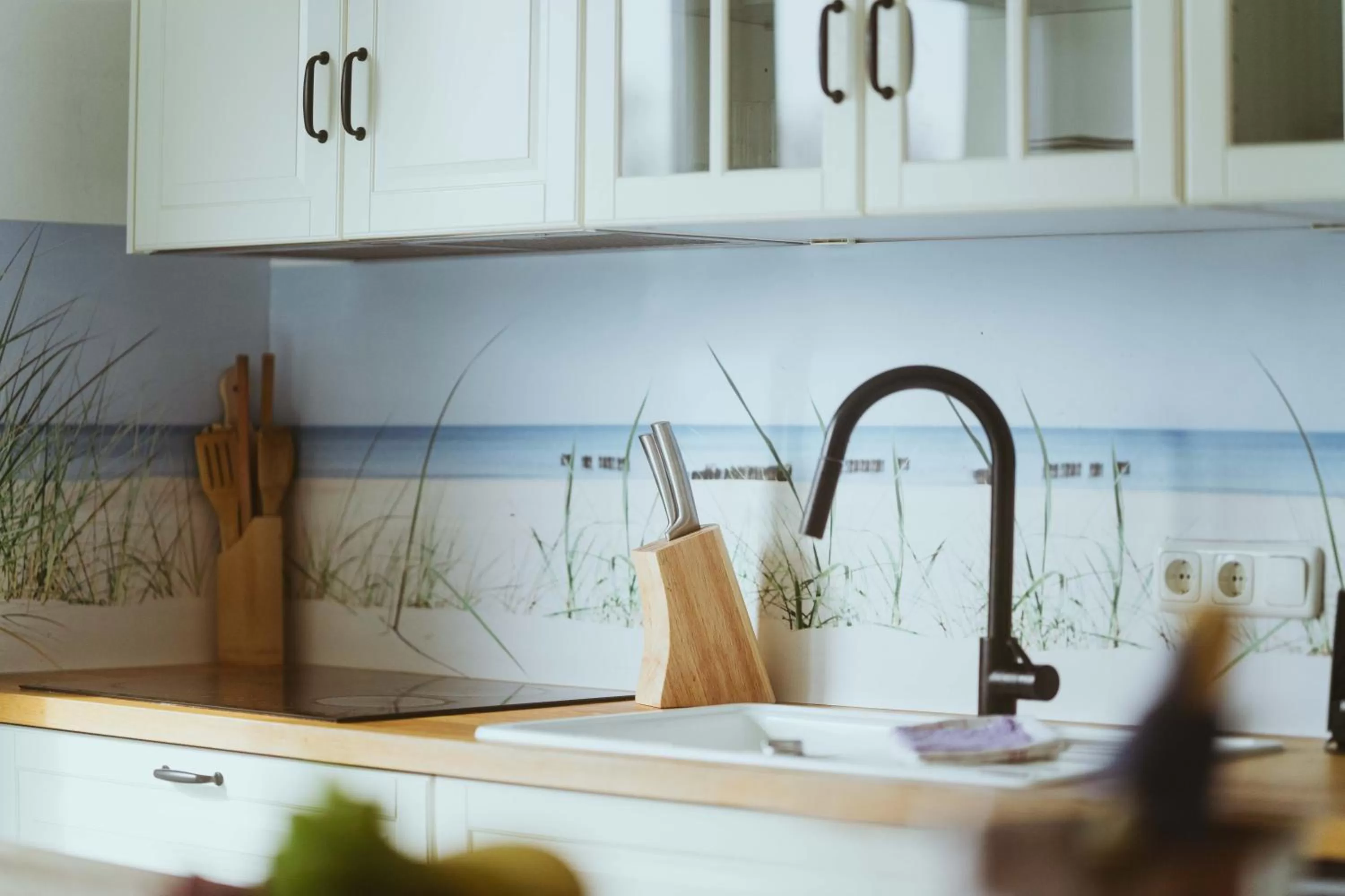 dishwasher in Aparthotel Stralsund Studios und Apartments