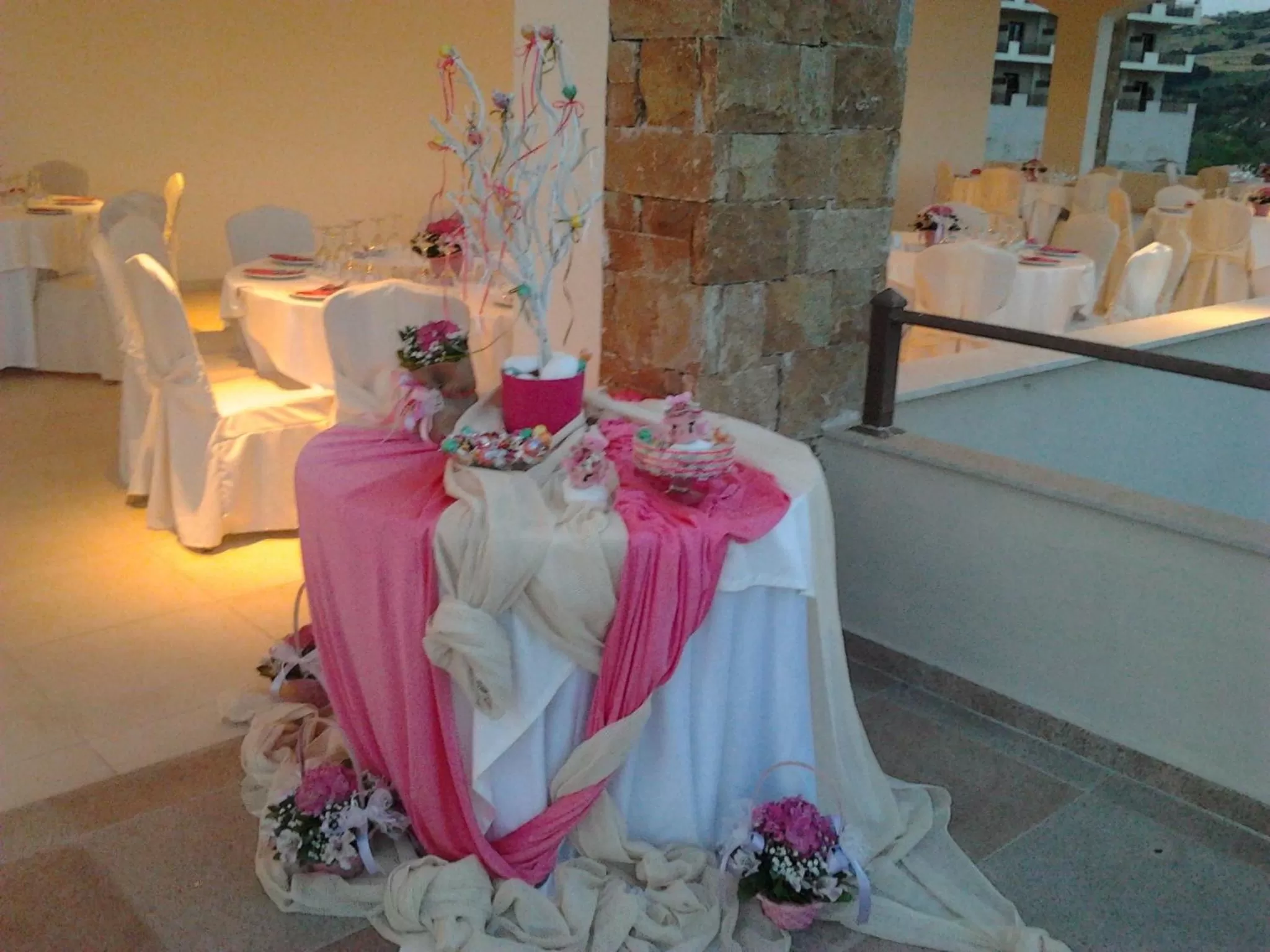 Banquet/Function facilities in Siris Hotel