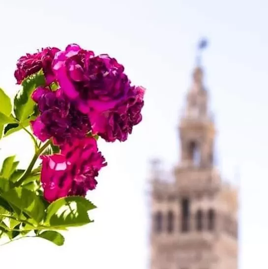 Nearby landmark in Hotel Boutique Casa de Colón