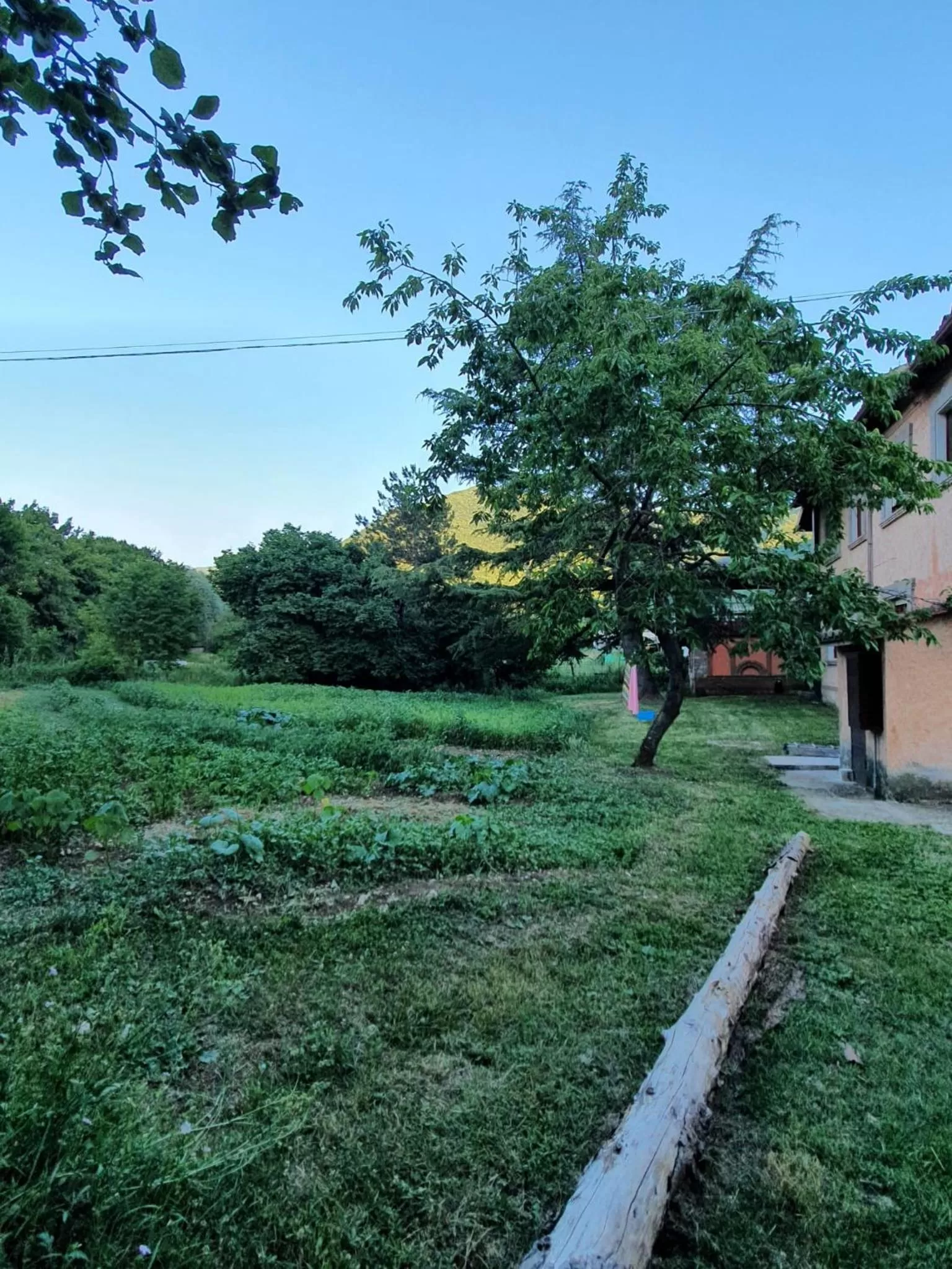 Garden in B&B Calecatine