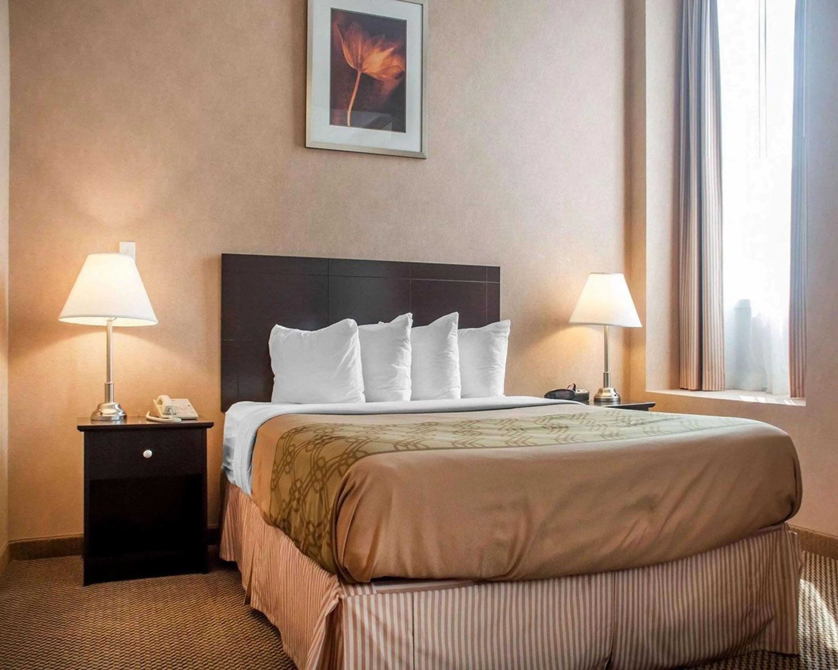 Bedroom, Bed in Econo Lodge Woodstock