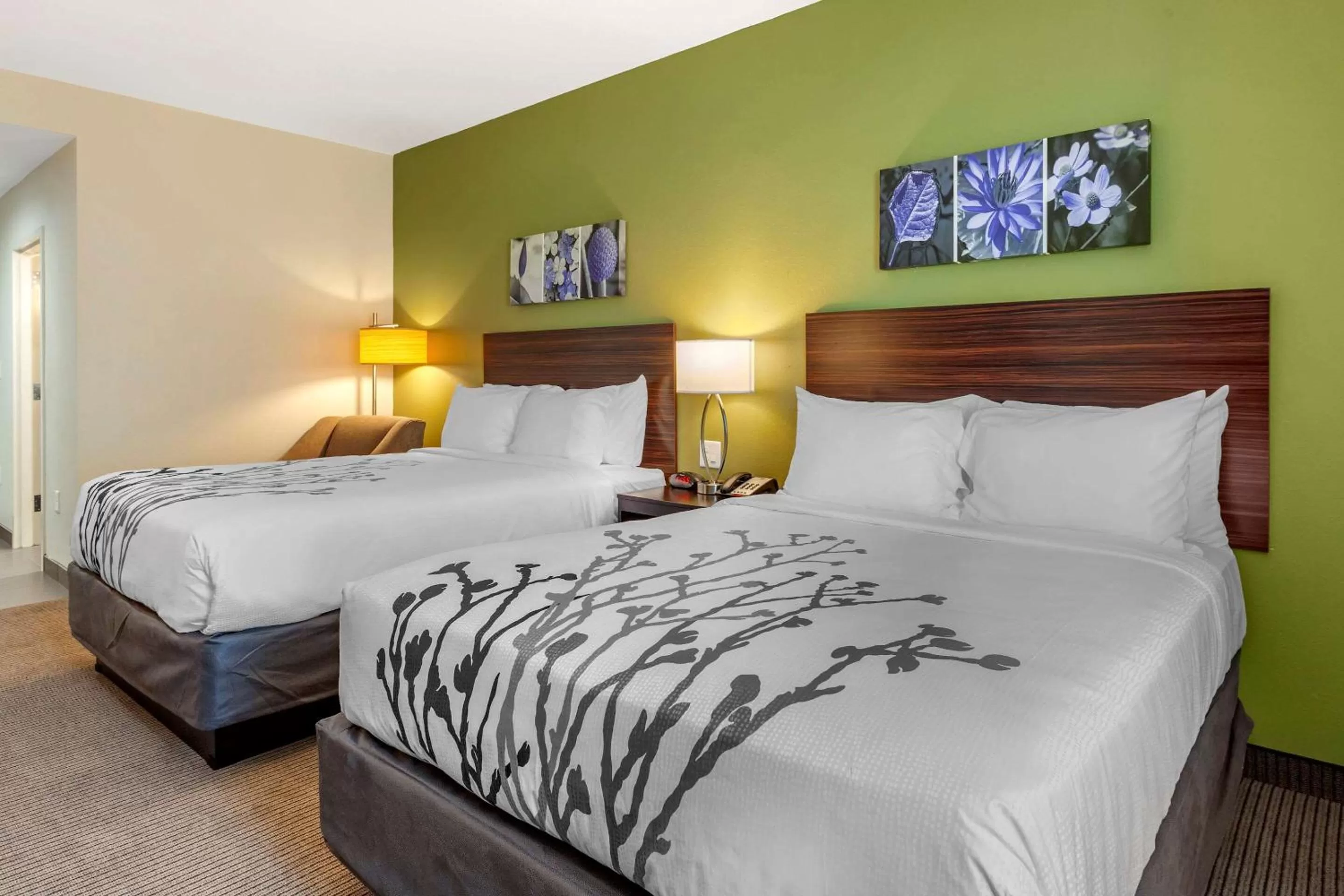 Photo of the whole room in Sleep Inn & Suites Waller