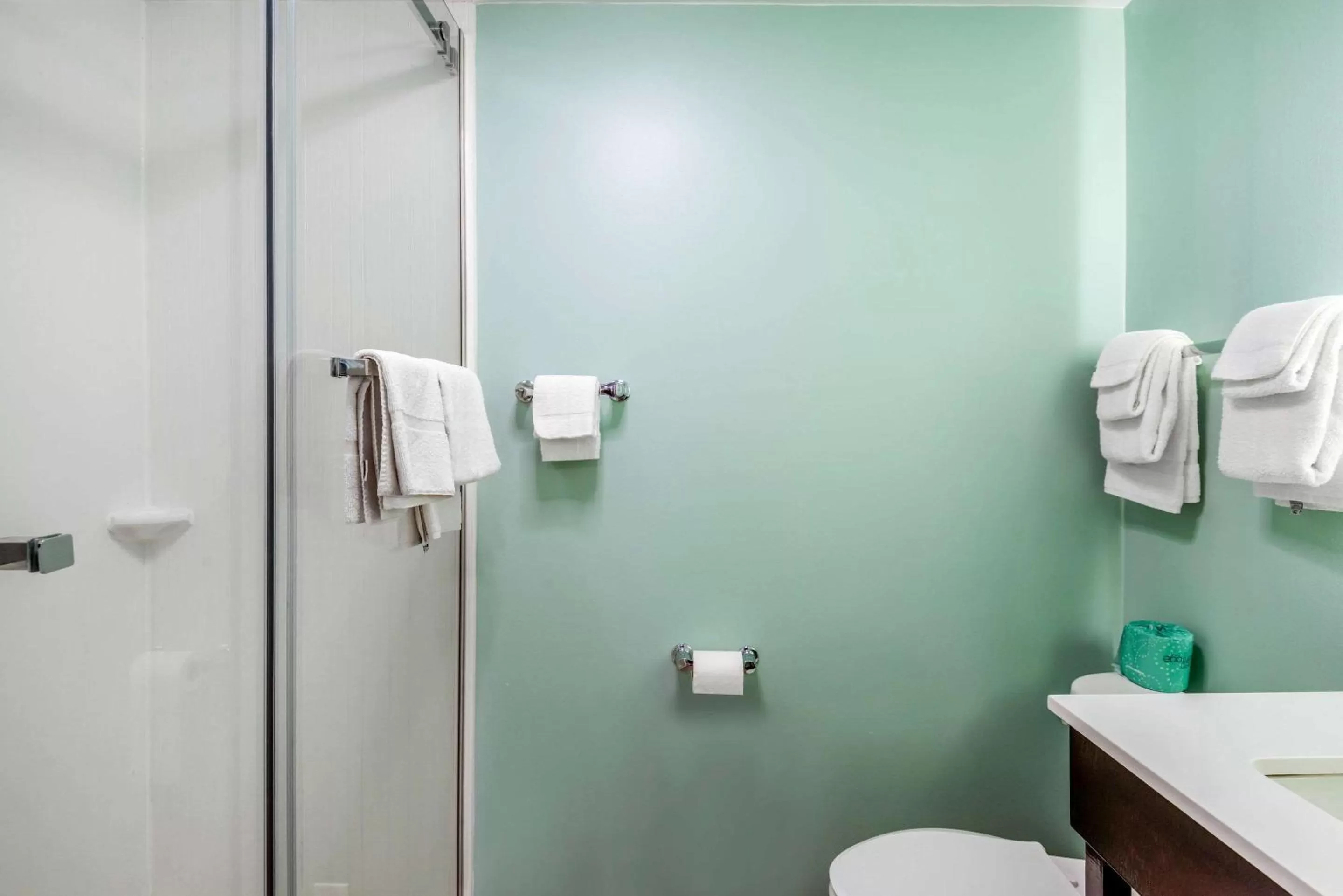 Bedroom in Quality Inn & Suites