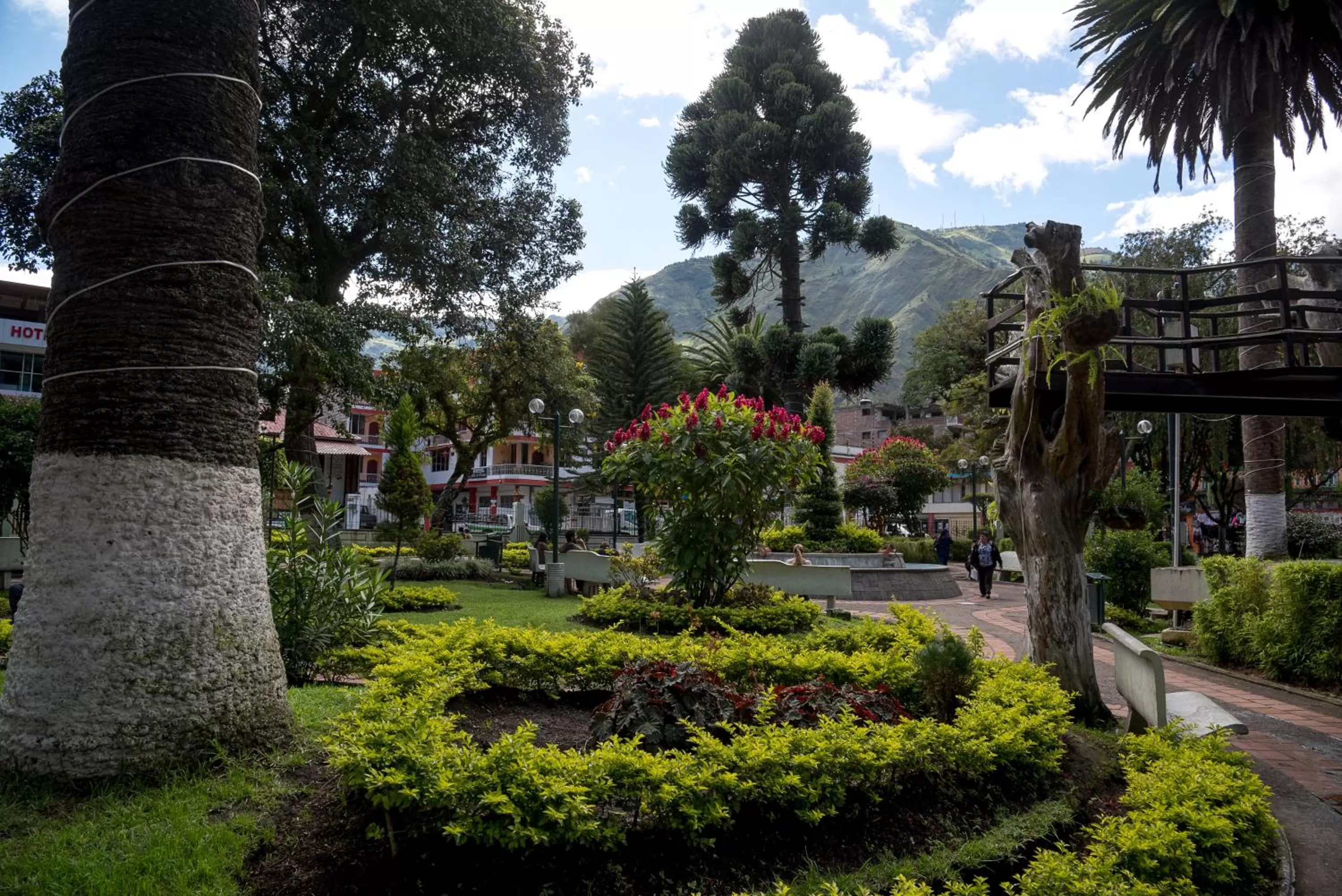 Hotel Flor de Oriente