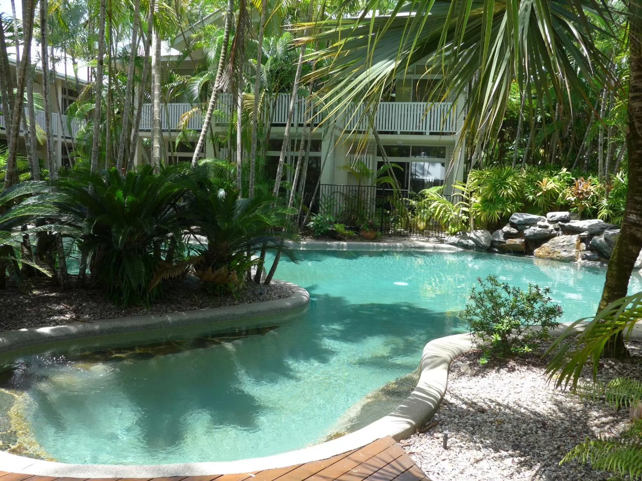 Swimming pool in Port Douglas Retreat