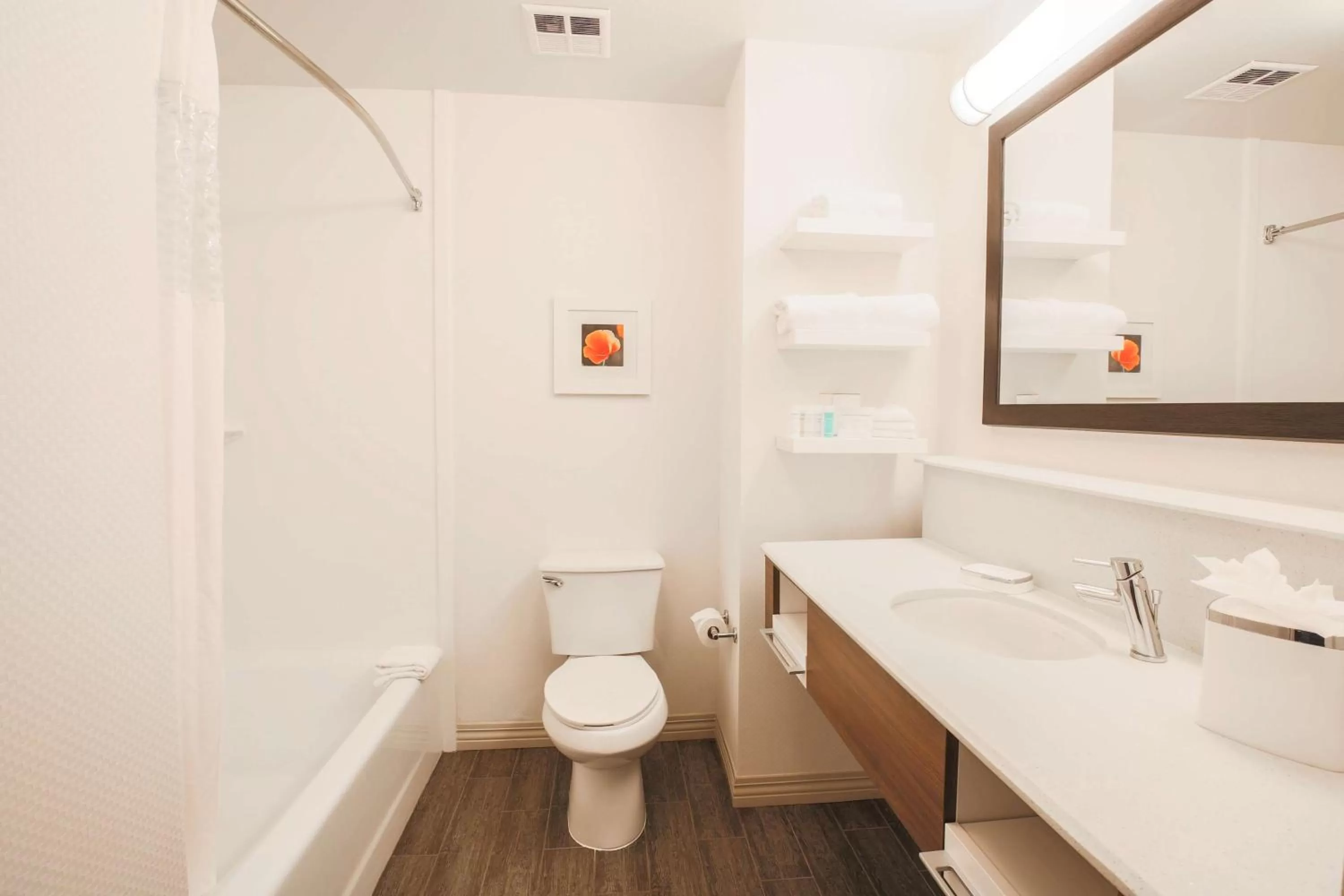 Bathroom in Hampton Inn & Suites Camarillo